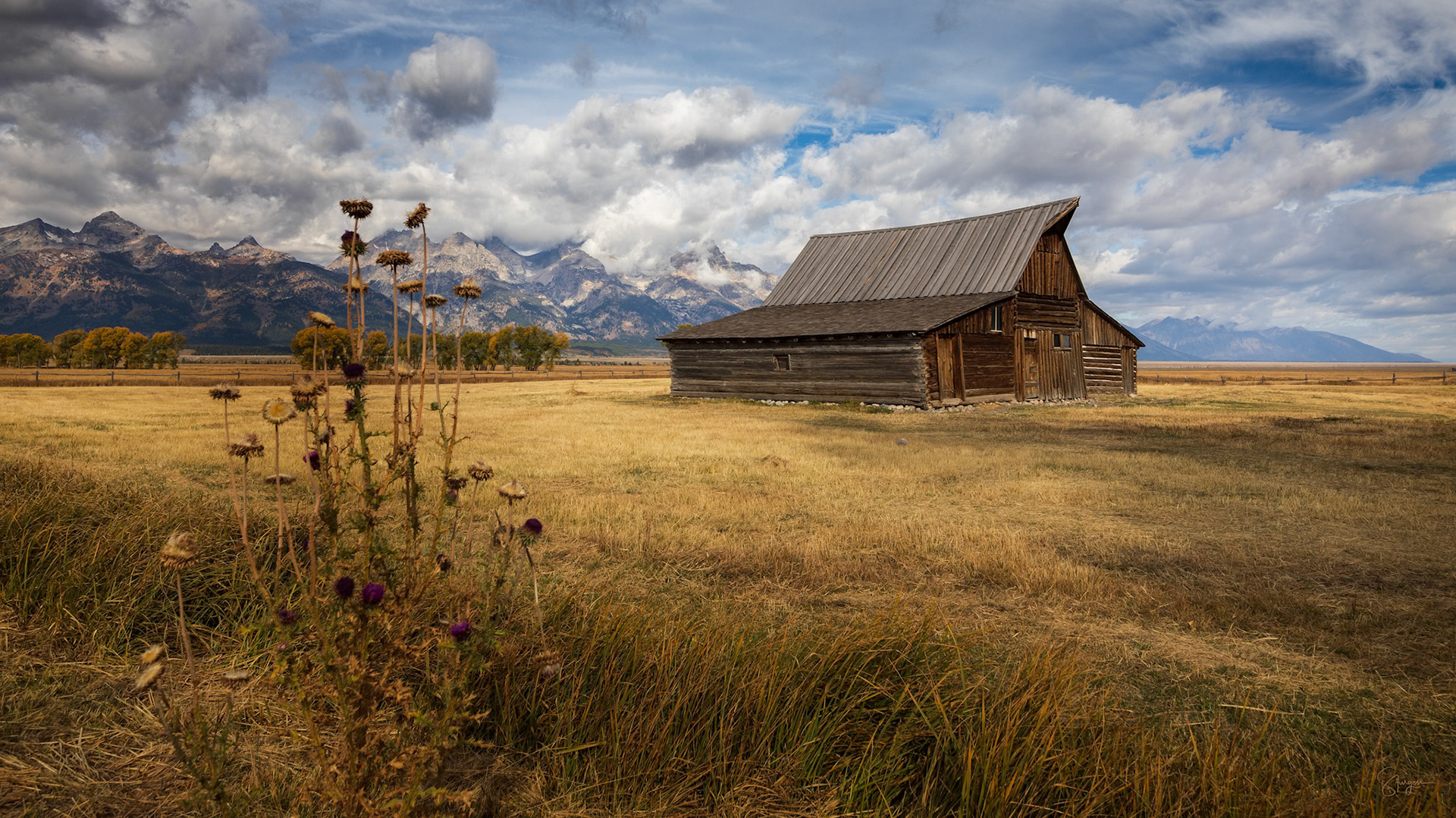 PRARIE HOMESTEAD  |  Set against the rugged peaks of the Tetons, this weathered barn stands as a quiet reminder of the people who carved out a life in the American West. Its worn timbers reflect decades of endurance beneath one of the country's most spectacular mountain landscapes.Golden autumn grasses, drifting clouds, and distant summits create a scene where history and nature exist in perfect balance. The barn may be humble, but it anchors the landscape with a timeless sense of place, perseverance, and beauty.