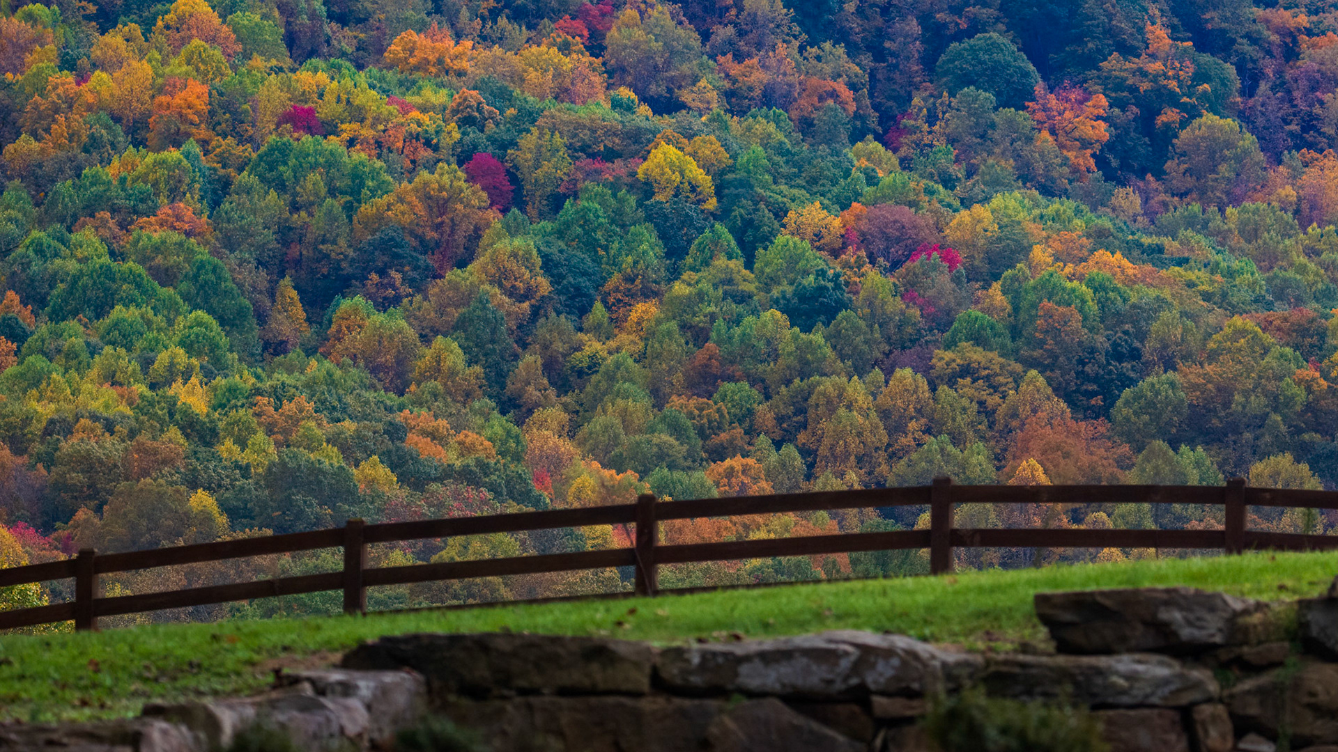 OCTOBER HILLSIDE  |  A hillside in North Georgia becomes nature's canvas as autumn paints the forest in thousands of subtle shades. Emerald greens mingle with gold, amber, crimson, and copper, creating a tapestry so intricate that no two views are ever quite the same.The simple fence in the foreground offers a quiet sense of place, a reminder that some of the most beautiful landscapes are not remote wildernesses but familiar scenes encountered along a country road. Beyond it, the rolling forest stretches endlessly, each tree contributing its own brushstroke to the season's masterpiece.There is a fleeting quality to autumn that makes moments like this especially meaningful. Within weeks, the leaves will fall and the colors will fade, but for this brief season the mountains celebrate in brilliant color, transforming an ordinary hillside into something extraordinary.