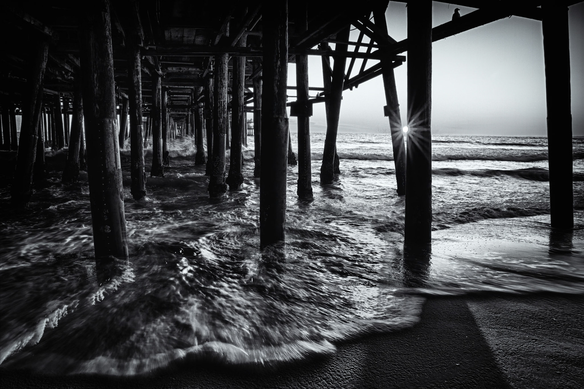 WHERE THE TIDE TURNS  |  Most visitors experience the Santa Monica Pier from above. I was more interested in what existed beneath it, where the crowds disappear and the structure reveals an entirely different character. Standing in the surf, I watched waves weave through the forest of pilings as sunlight slipped between the beams overhead.What isn't obvious is how quickly conditions changed. Timing the waves, protecting my gear, and waiting for the sun to align with the pier's supports required patience. The reward was a perspective few people stop to see.From below, the pier feels less like an attraction and more like an architectural landscape shaped by light, water, and time. For me, this image captures the hidden side of a place millions visit but rarely experience this way.