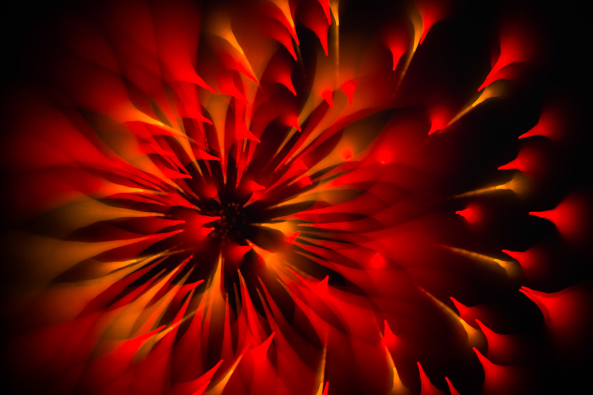 SOLAR PULSE