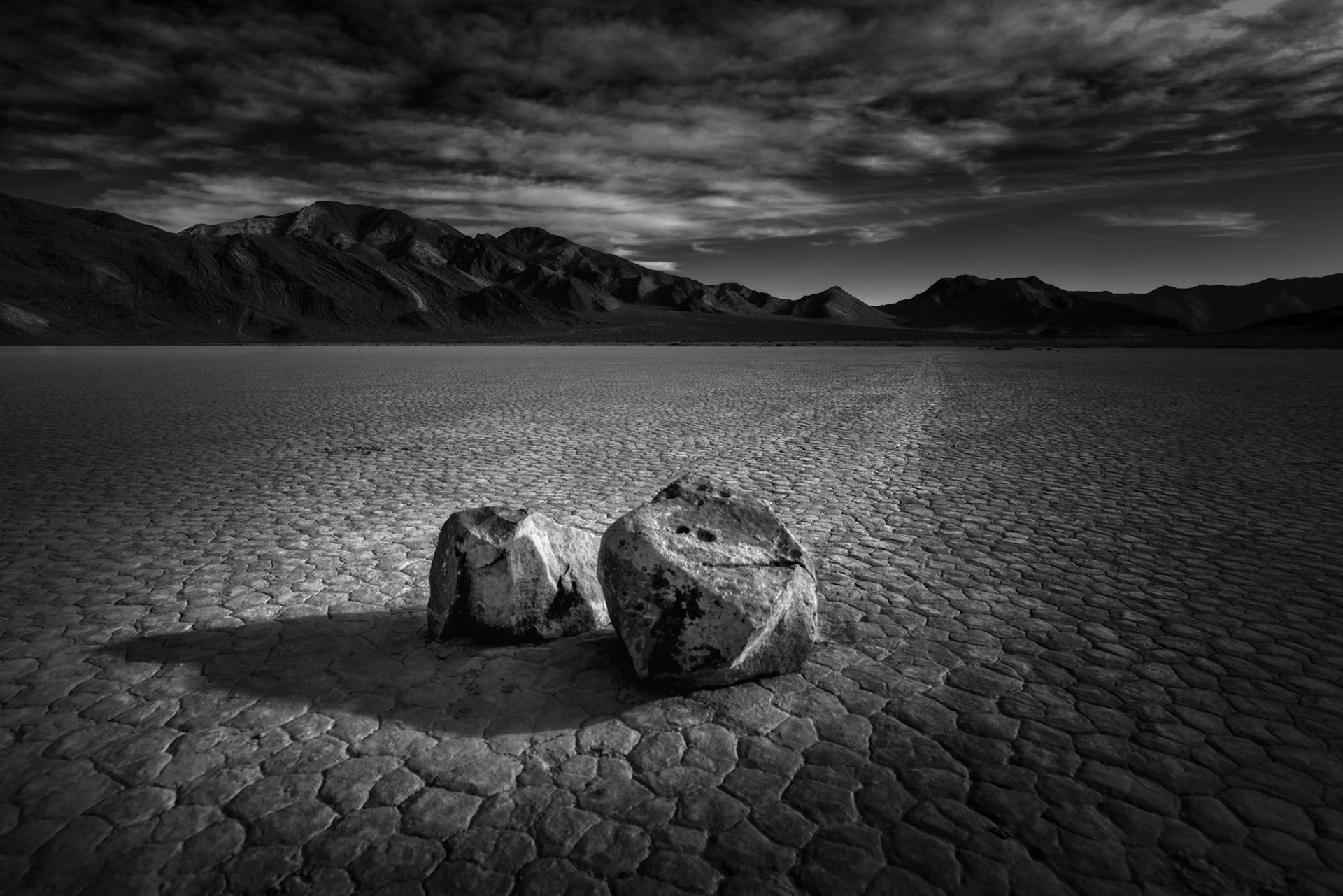 MOVEMENT IN SILENCE