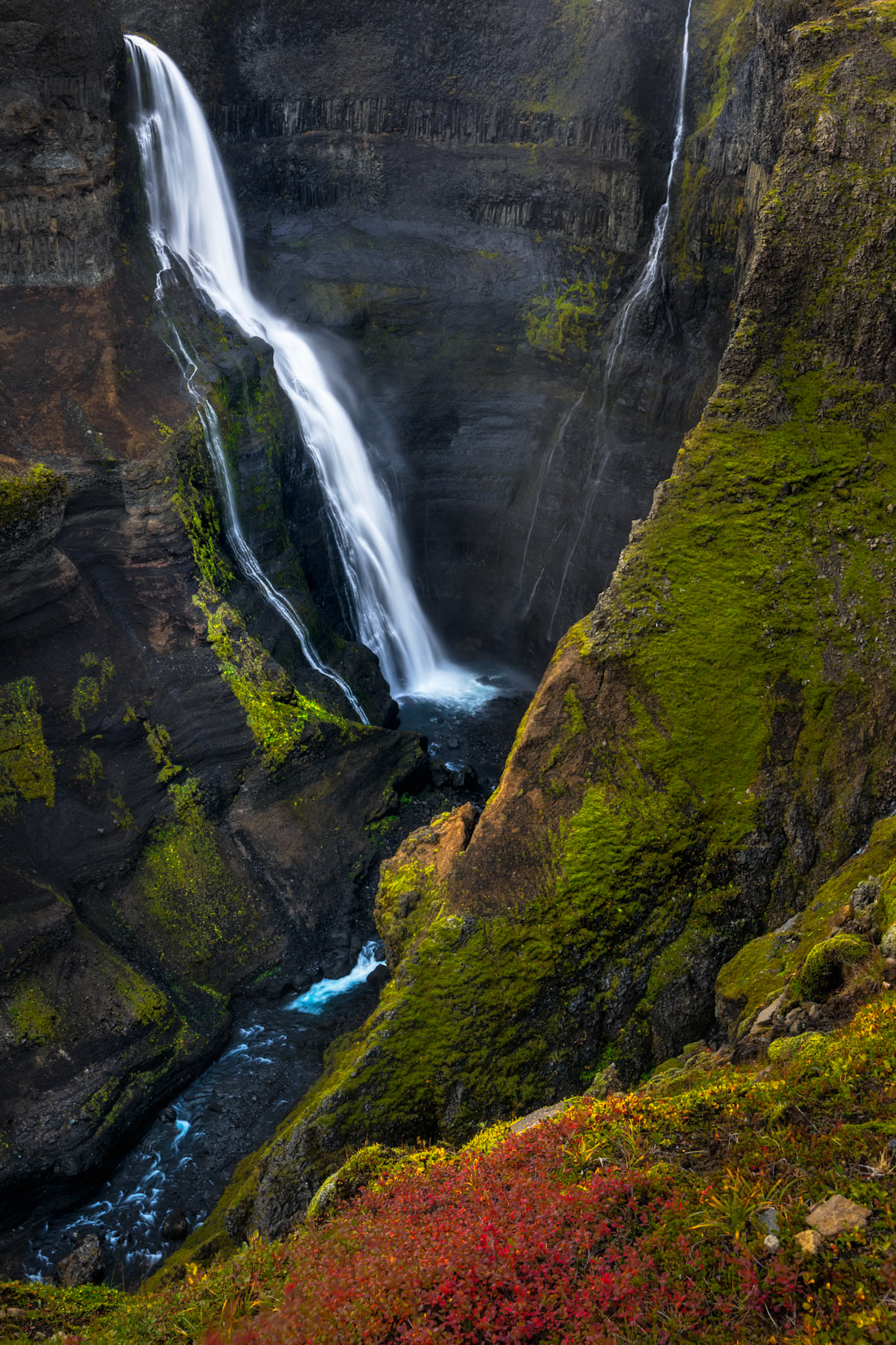 GRANNIFOSS