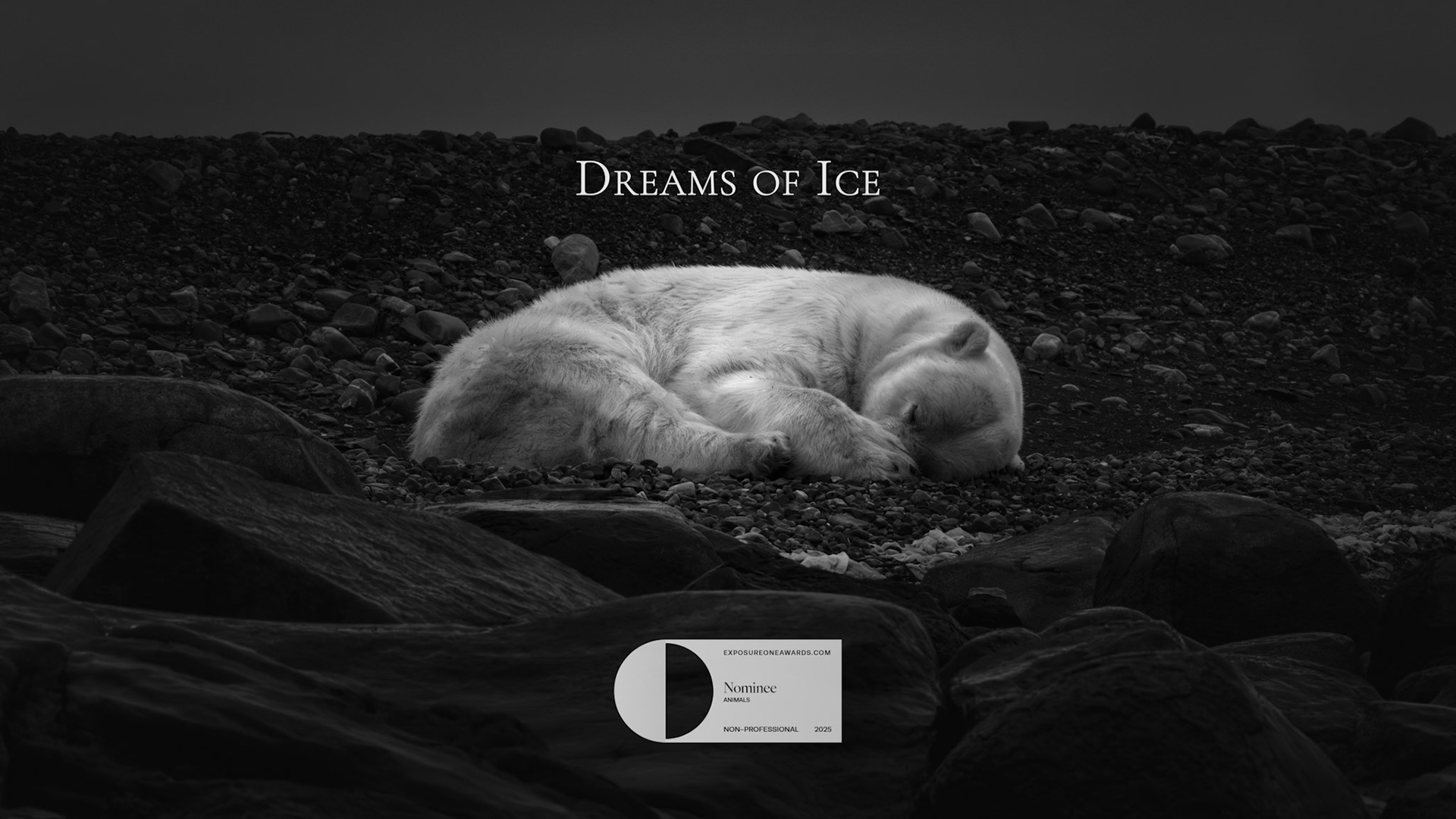 DREAMS OF ICE | NOMINEE FOR 2025 EXPOSUREONE AWARDS