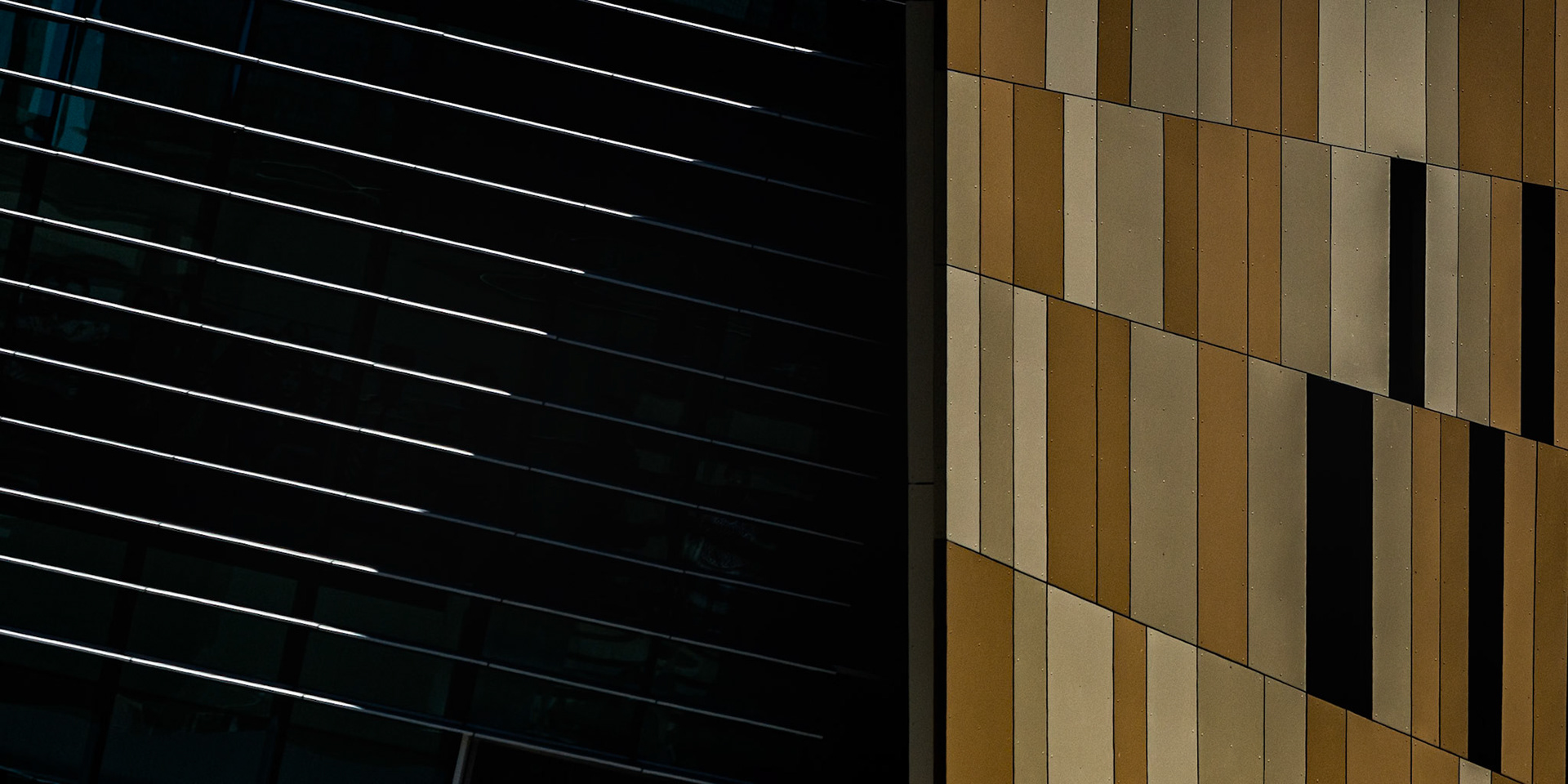 A STUDY IN CONTRAST