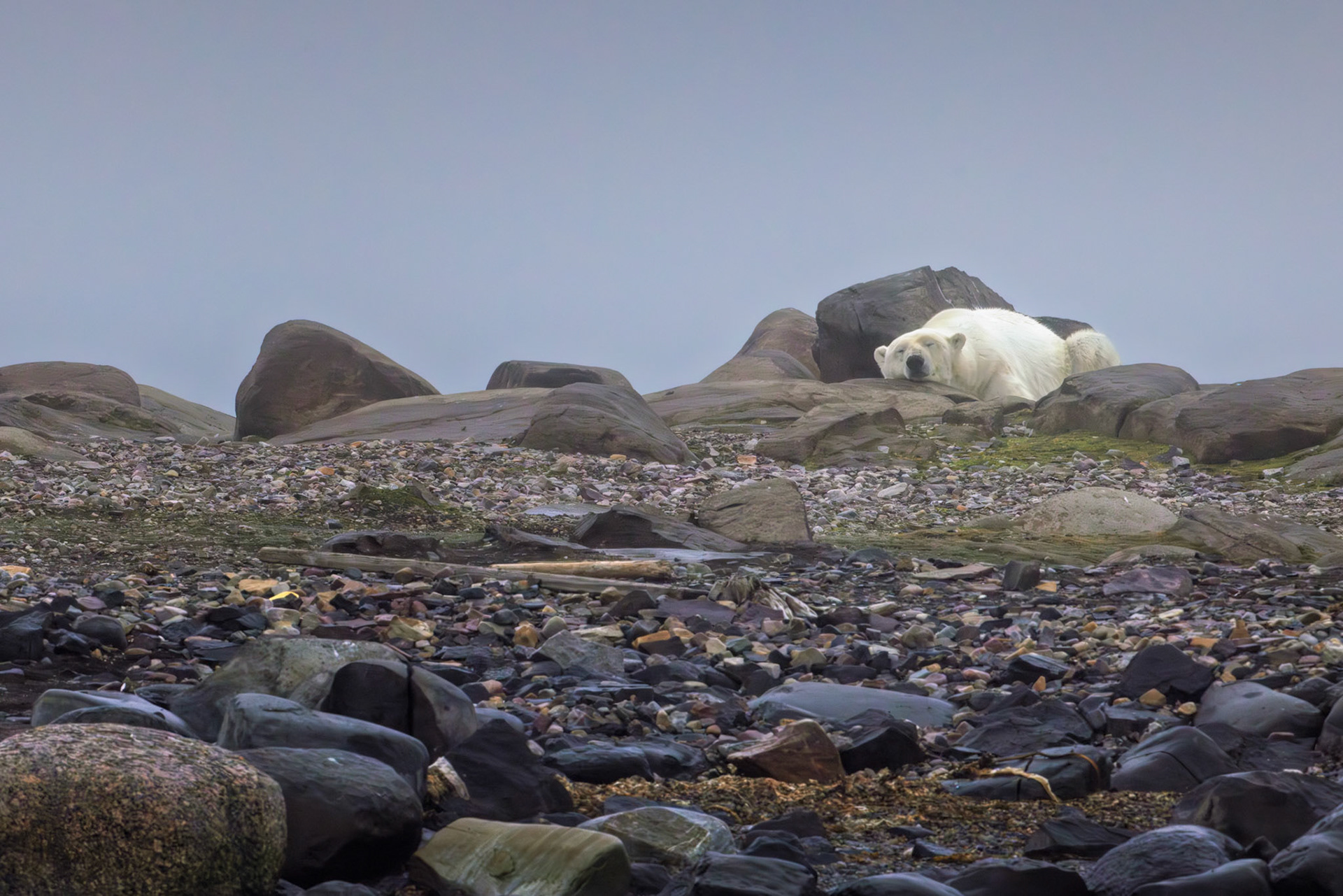 RESTING ON THE COAST