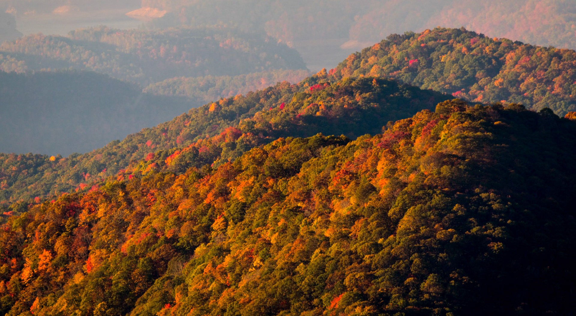 CHROMATIC RIDGE