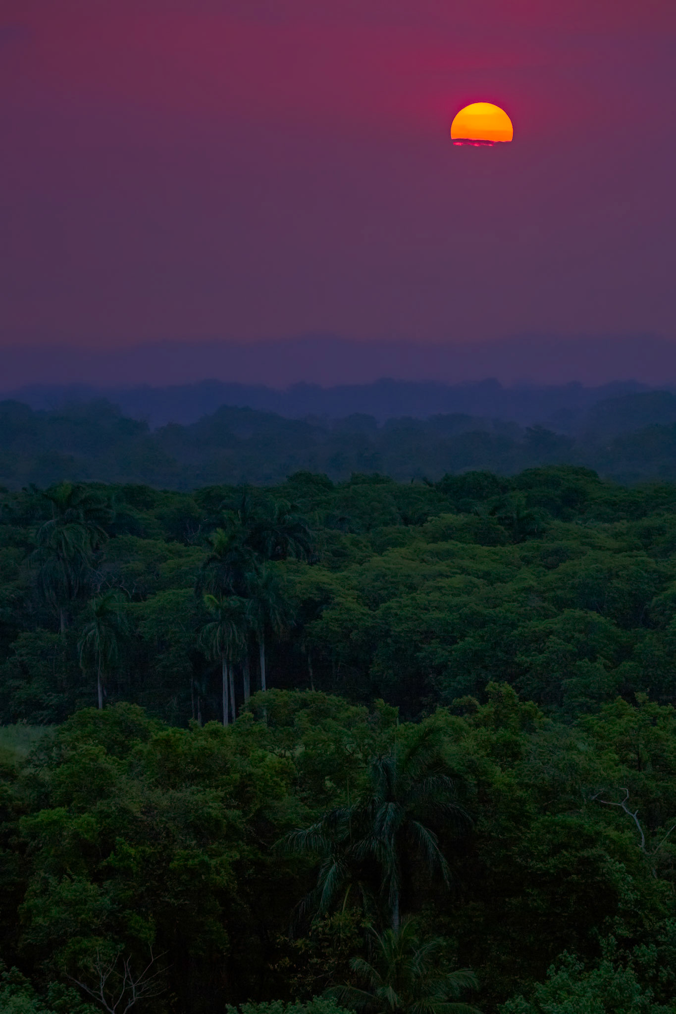 BEFORE DAYLIGHT TAKES IT ALL  |  The first rays of sunlight emerge above the jungle-covered landscape surrounding the Panama Canal, illuminating layers of mist and forest below. Seen from a passing ship, the scene captures the calm and anticipation that accompany the start of a new day at sea.
