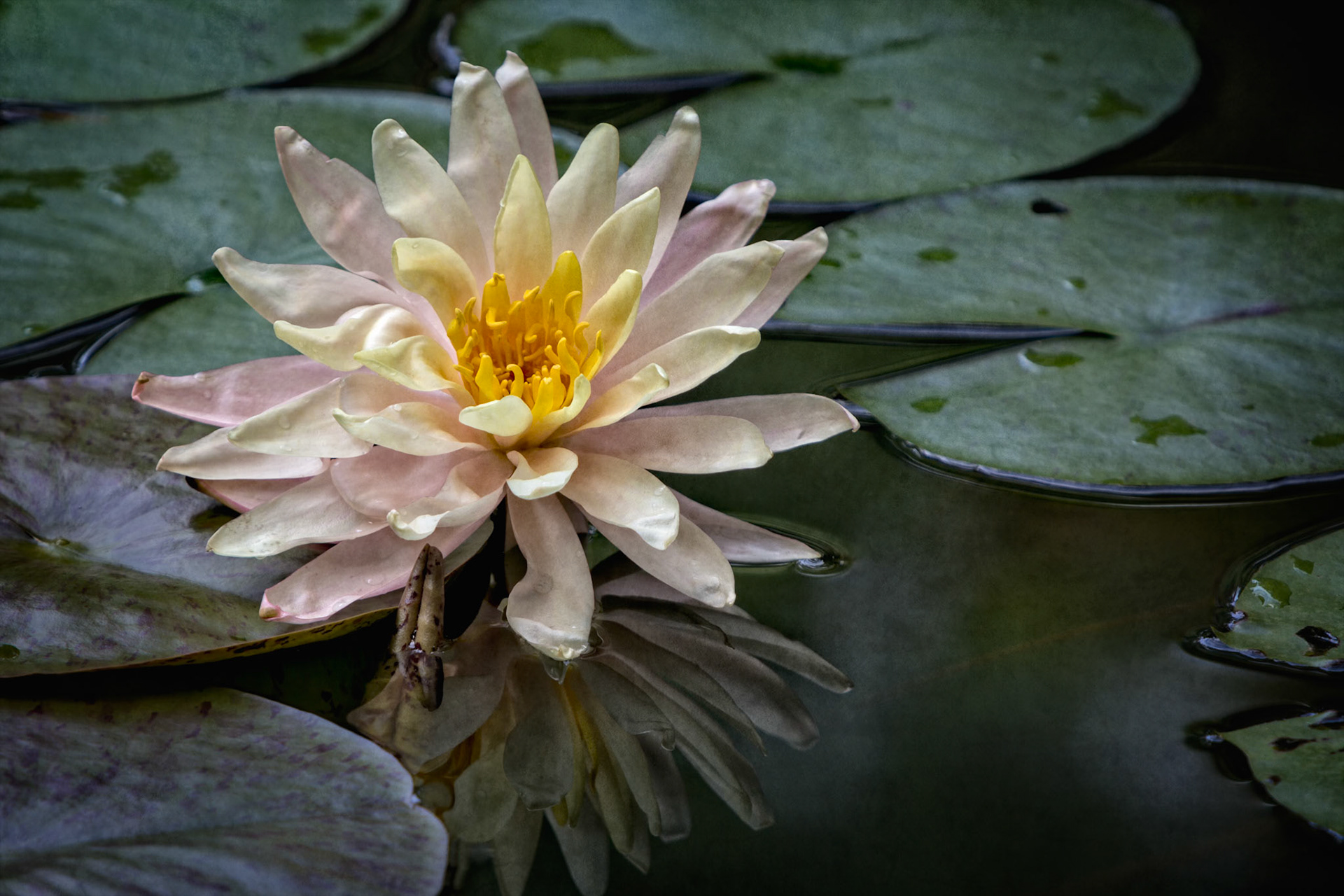 FLOATING QUIETLY