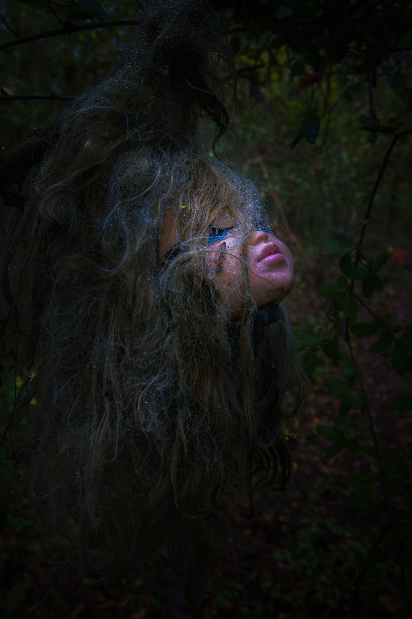 LEFT TO THE WOODS