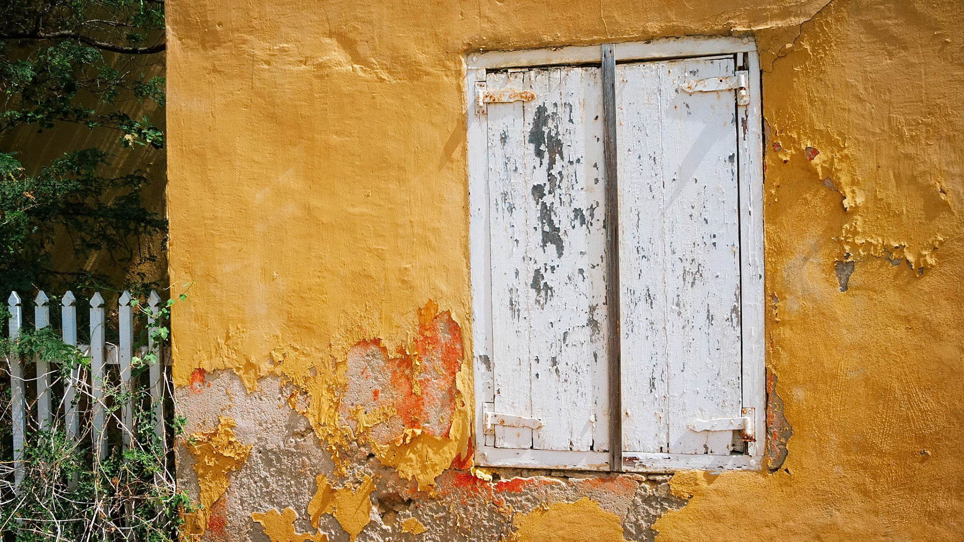 SUN-DRENCHED | BONAIRE