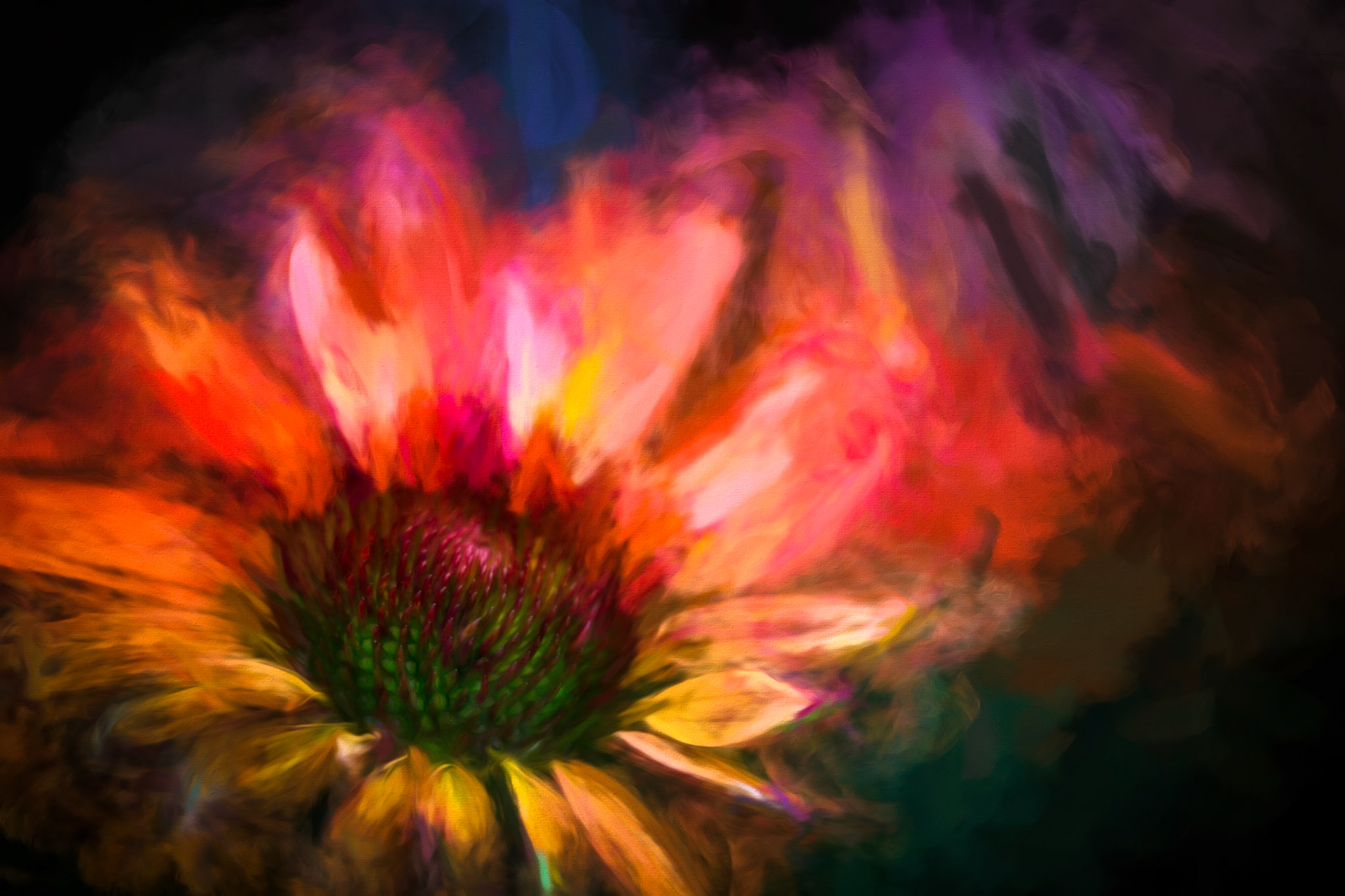 PETALS OF FIRE