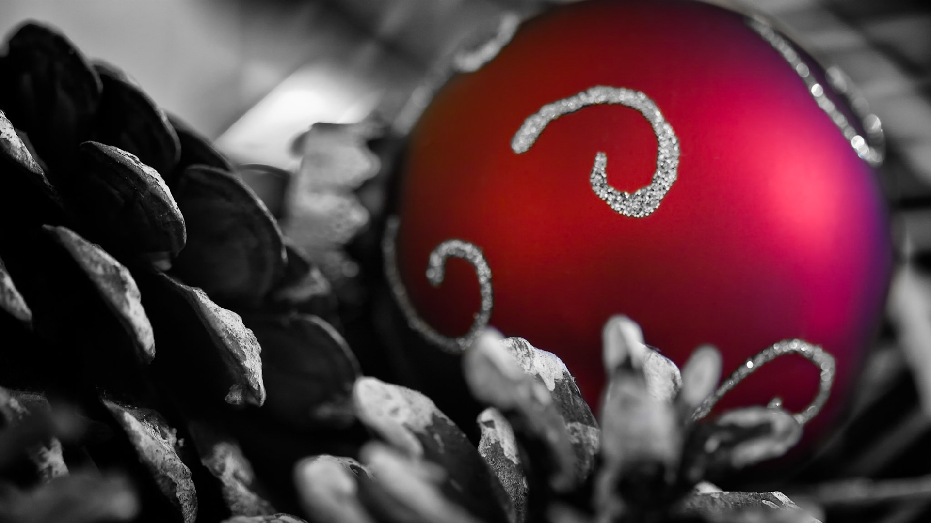 HOME FOR THE HOLIDAYS  |  Sometimes the smallest details carry the spirit of a season. Nestled among weathered pinecones, a single crimson ornament glows like a cherished memory, its silver accents catching the light against a world softened to black and white.As a photographer, I’m often drawn to grand landscapes and distant destinations, yet moments like this remind me that beauty can be found just as easily at home. The contrast between the vibrant ornament and the muted surroundings creates a sense of warmth, nostalgia, and quiet anticipation. It is a simple scene, but one that evokes the familiar comfort of holidays past and the promise of celebrations still to come.