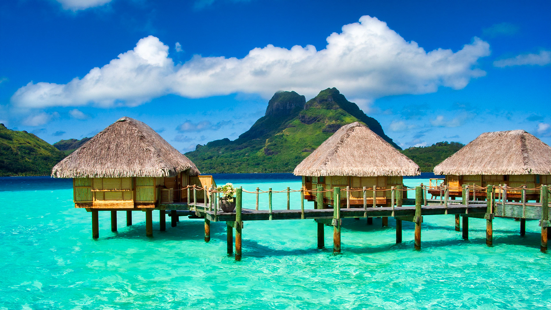 BUNGALOW DREAMS | BORA BORA