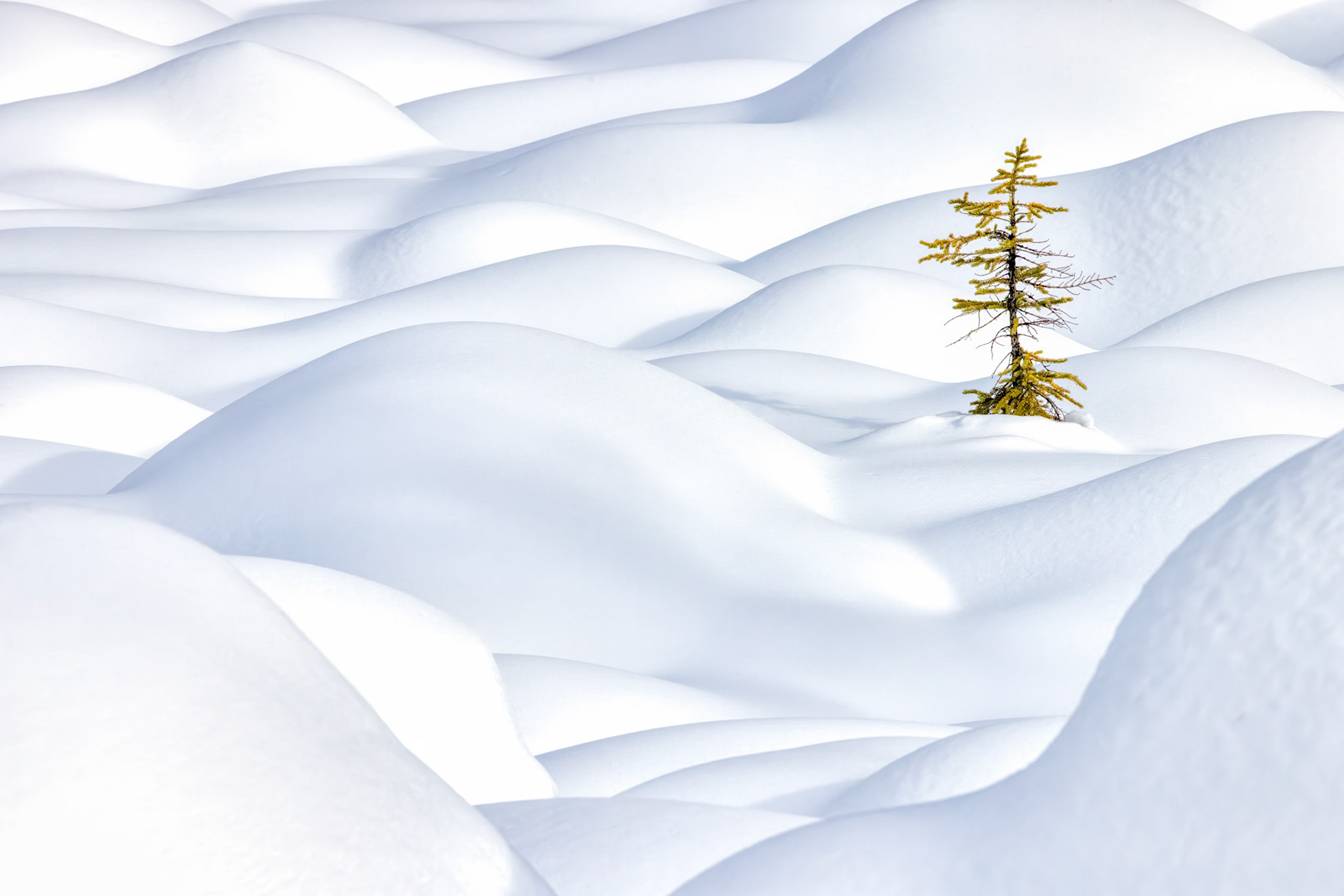 WINTER'S SOLITUDE I  |  Some landscapes overwhelm with grandeur. Others captivate through