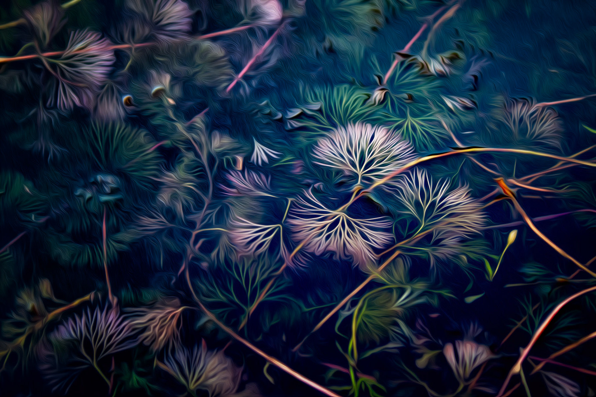 FLOATING BEAUTY | Selected from more than 600 entries, this image earned the Vincent Versace Award for Excellence in Photography at the 2013 Photoshop World Conference. Delicate floating grasses from Lady Bird Lake in Austin, Texas become a dreamlike study of nature's hidden patterns.