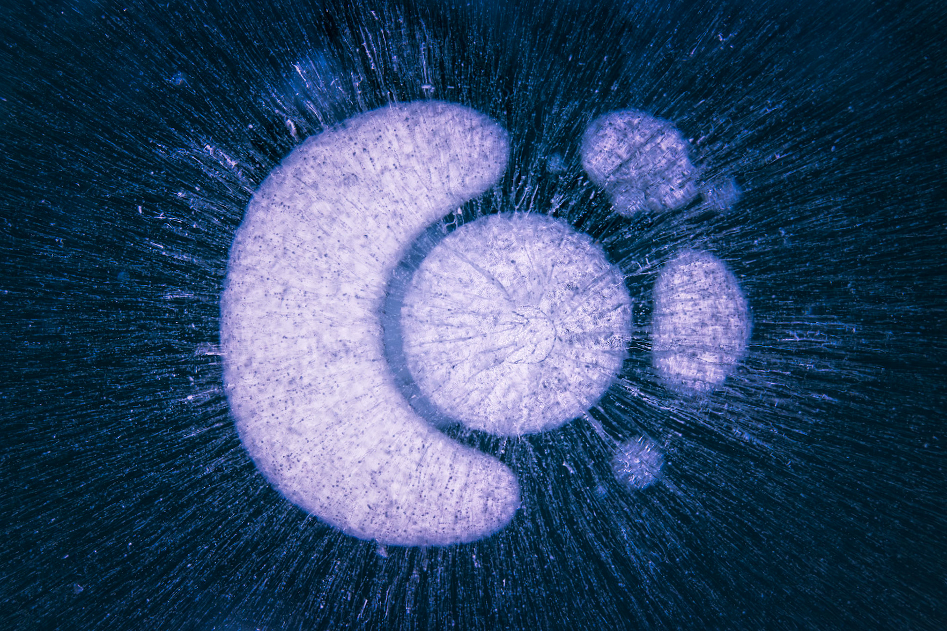 FROZEN CONSTELLATION