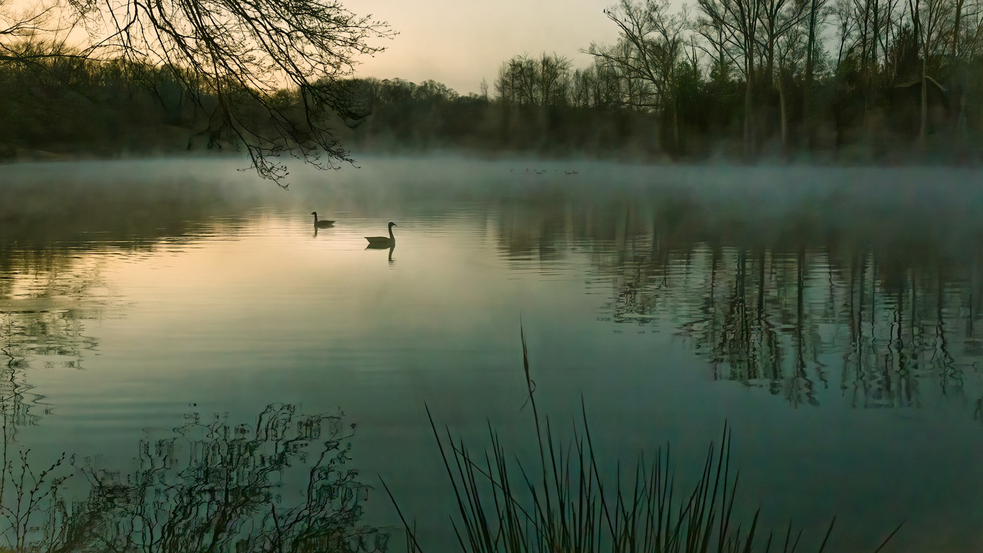 MORNING STILLNESS