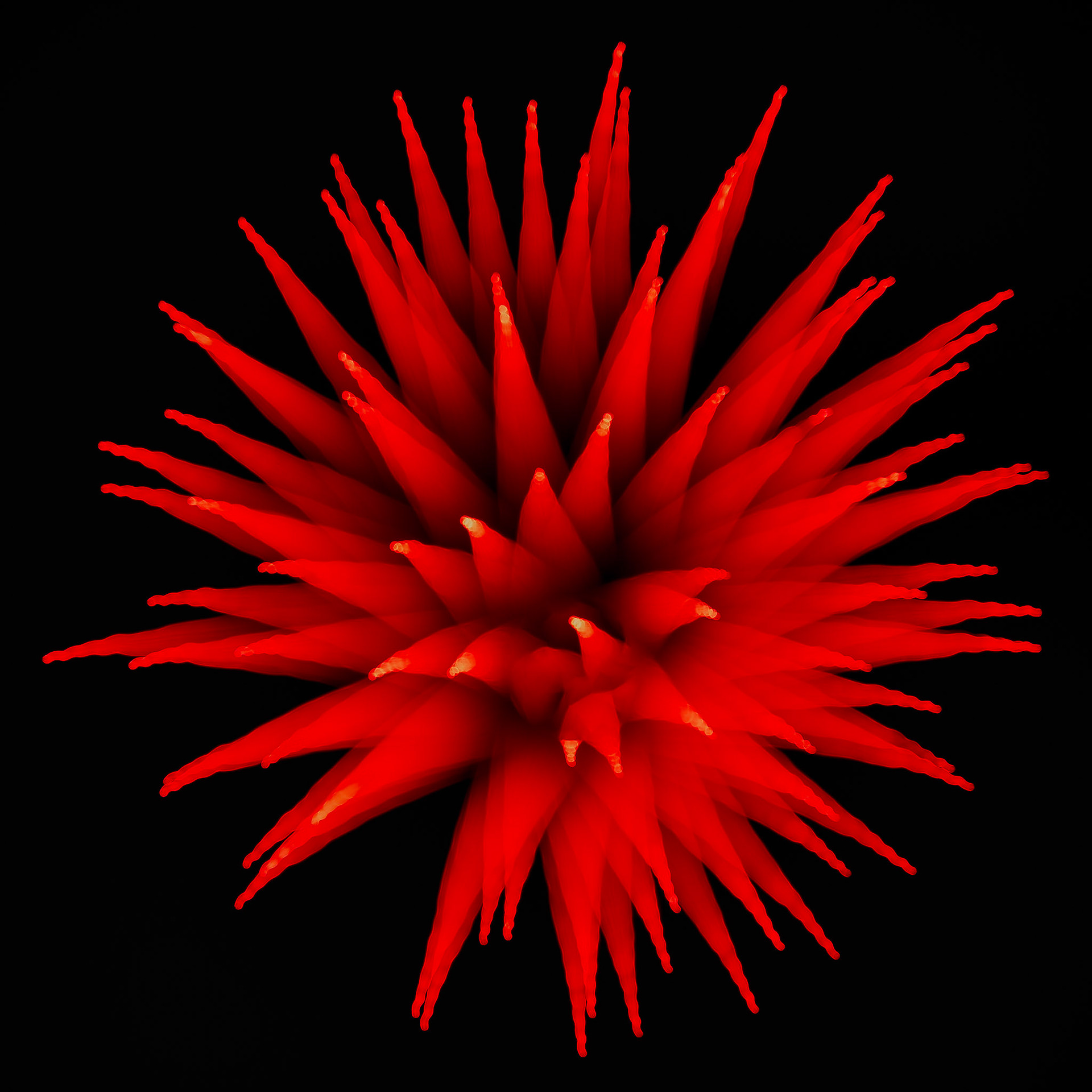 FIRE WITHIN