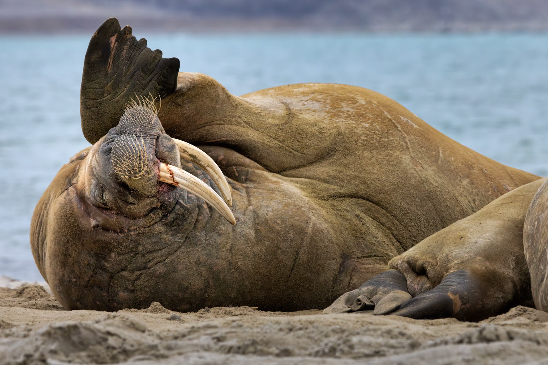 JUST FIVE MORE MINUTES