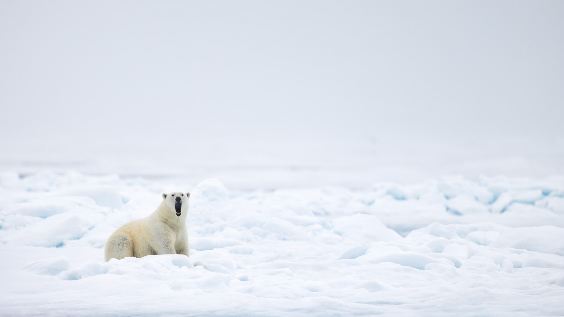 PATIENCE ON THE EDGE OF THE WORLD