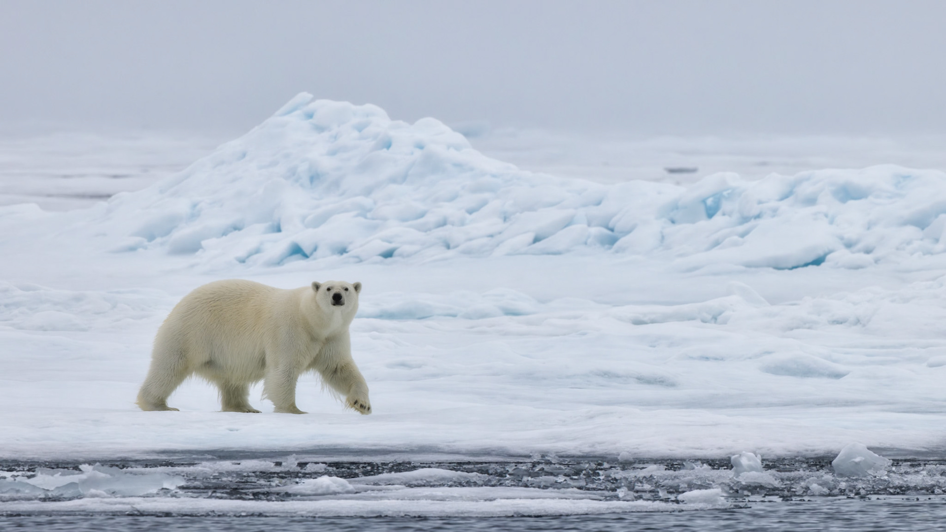 EMPRESS OF THE ARCTIC 4