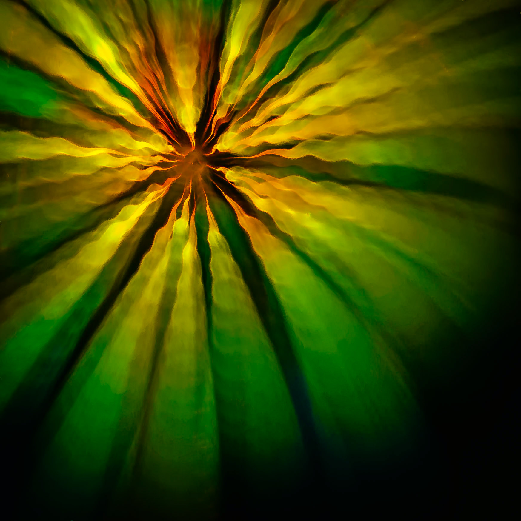 EMERGENCE