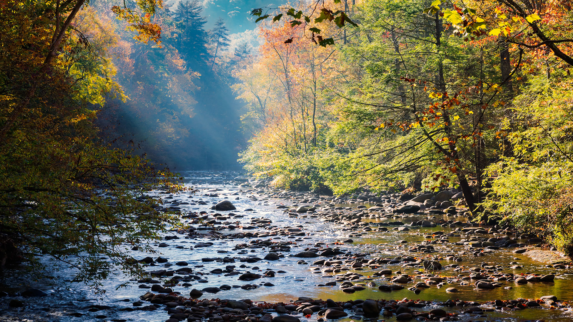 METCALF BOTTOMS | SMOKY MOUNTAINS | TENNESSEE