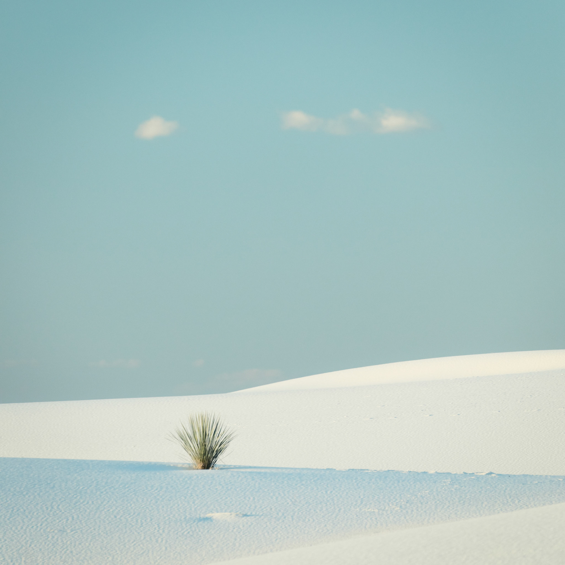 ALONE IN BLUE