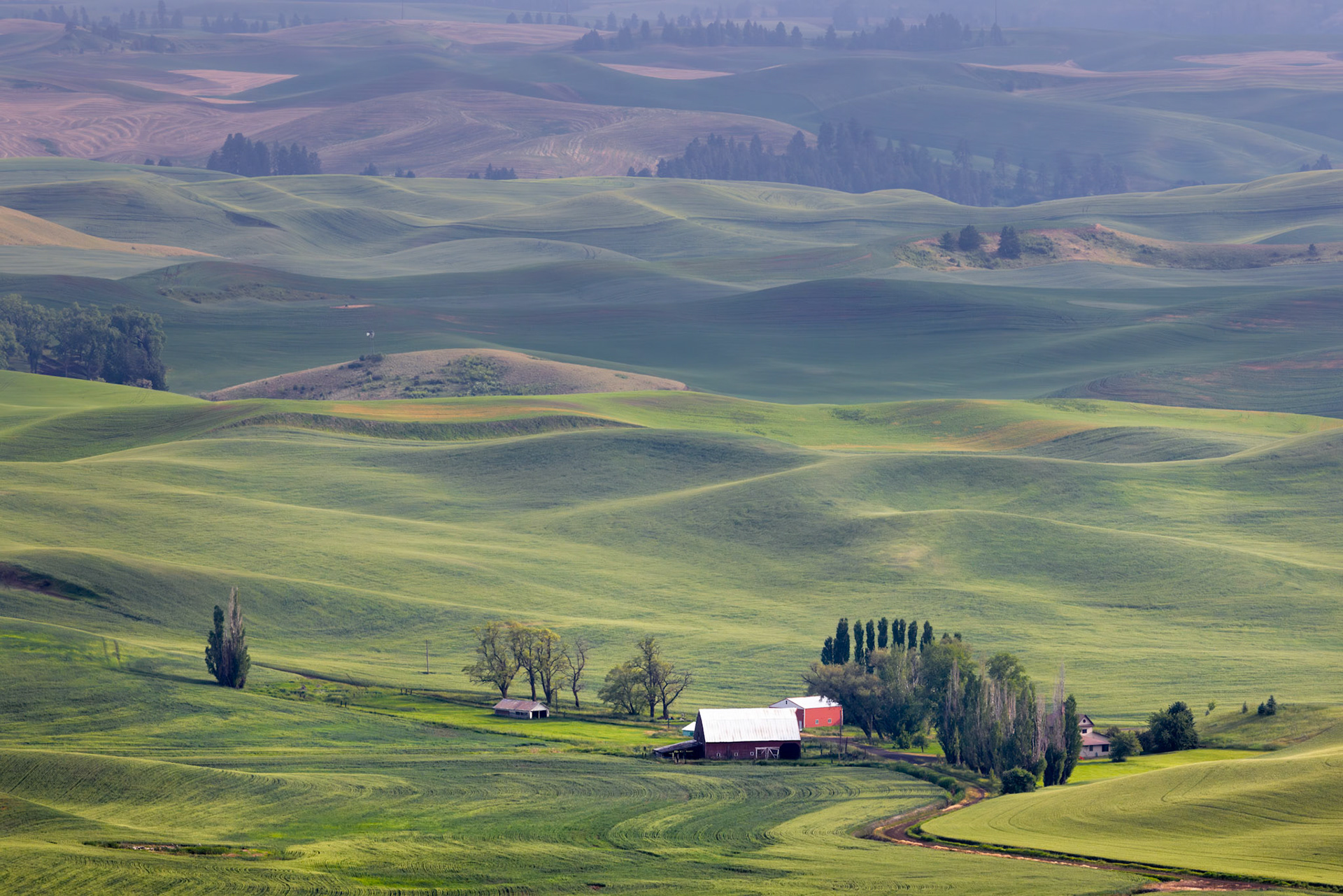 THE GENTLE LANDSCAPE