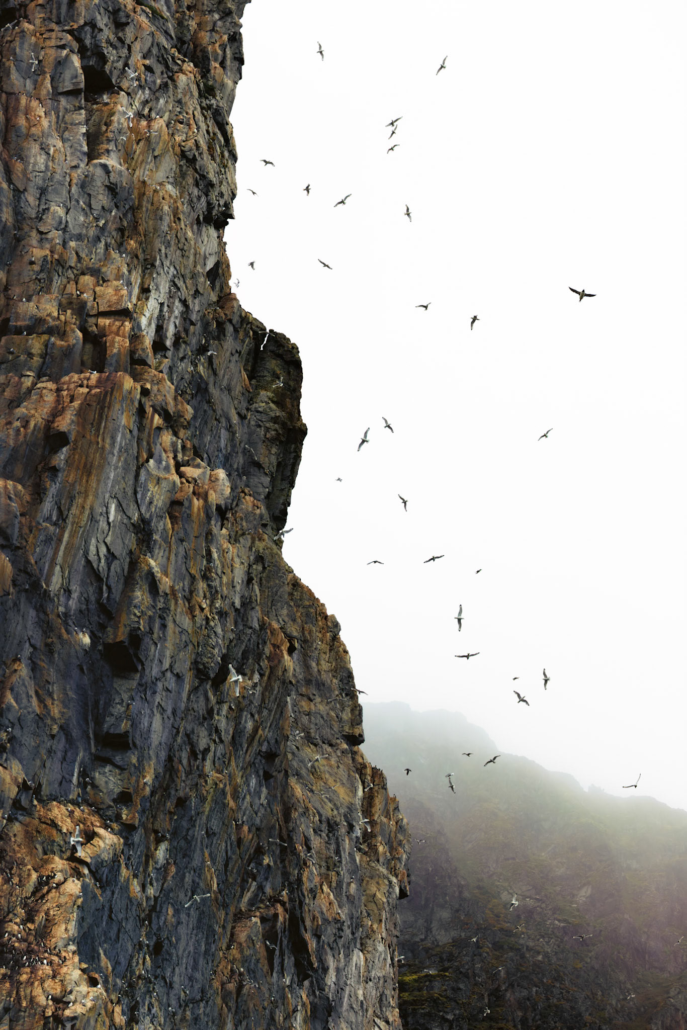 WINGS ALONG THE EDGE