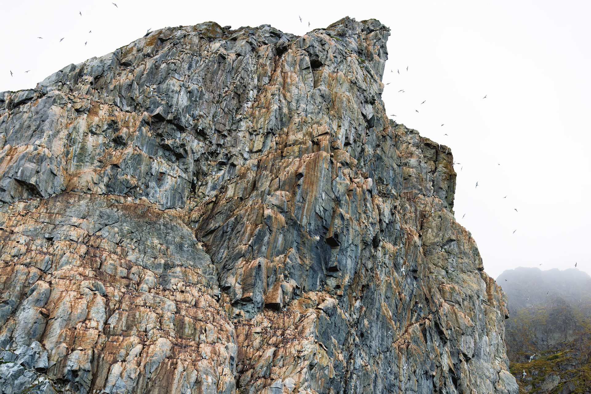 THE LEDGE COLONIES