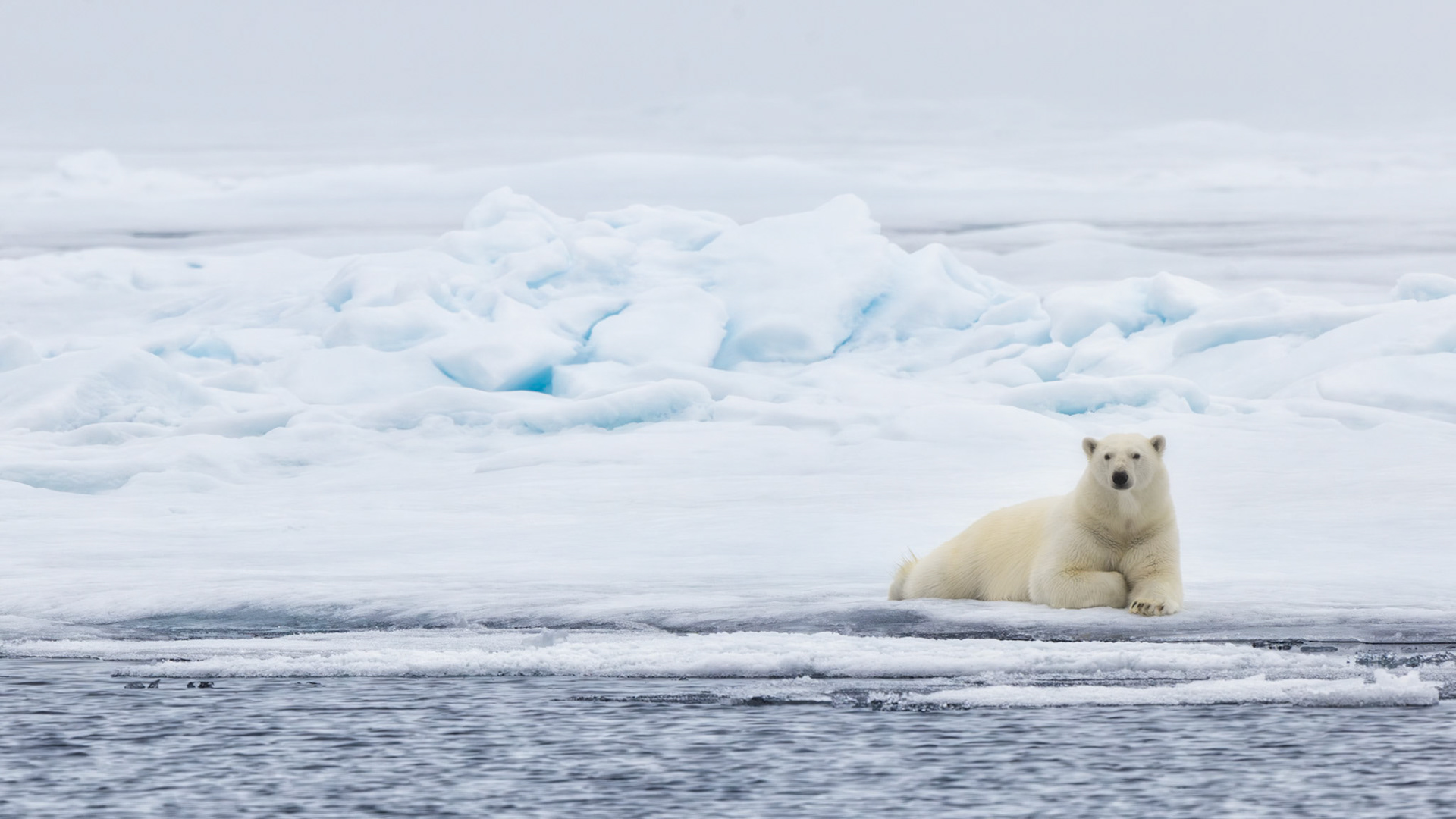 EMPRESS OF THE ARCTIC