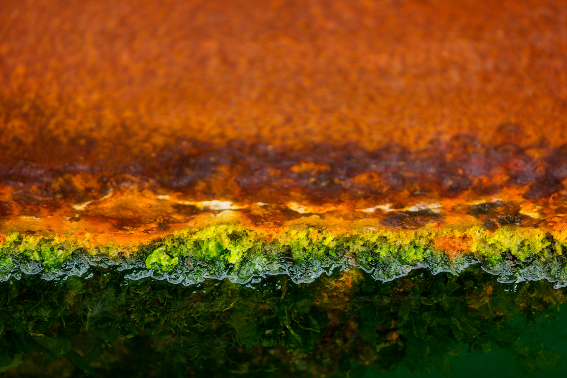 STEEL MEETS SALT