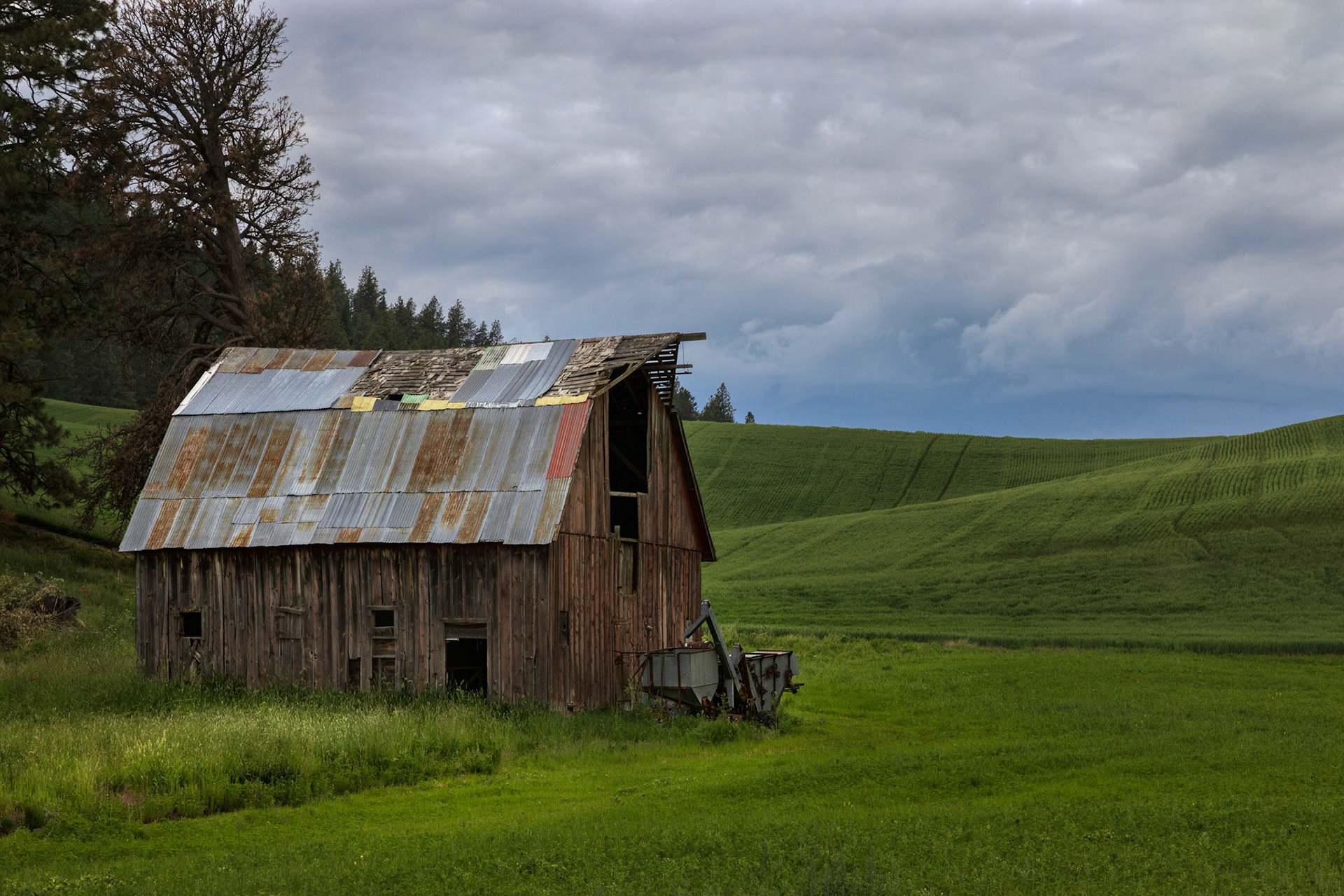DOLLY'S BARN
