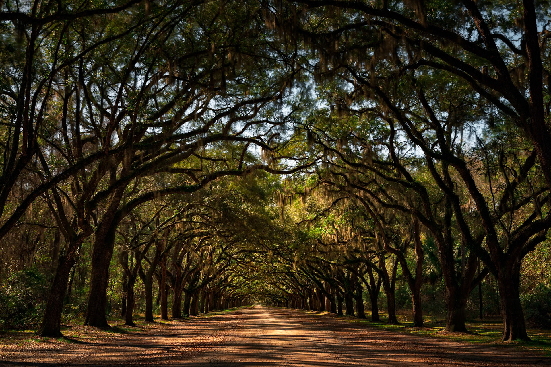 WORMSLOE ESTATE | SAVANNAH | GEORGIA