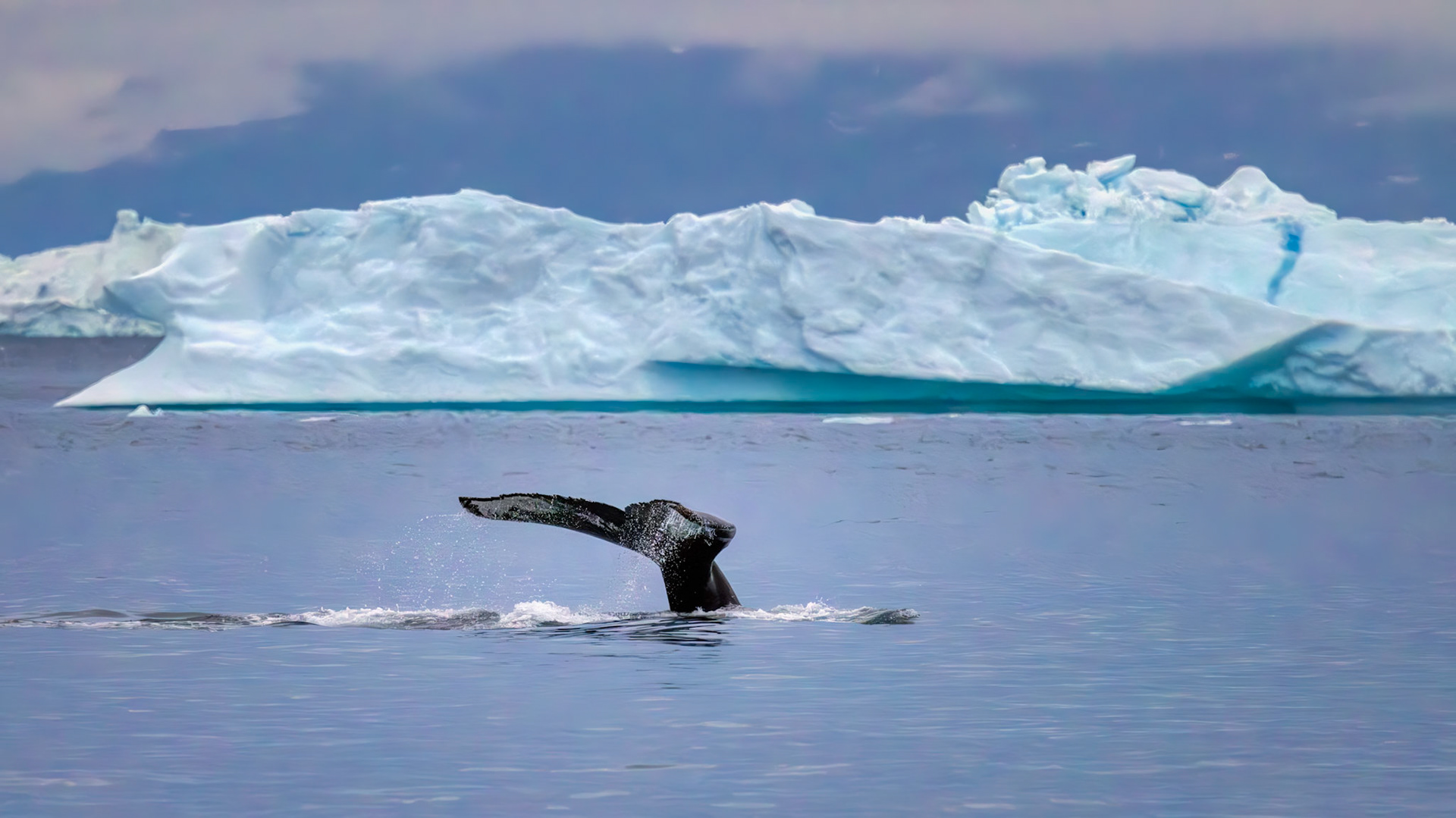 COLD PASSAGE