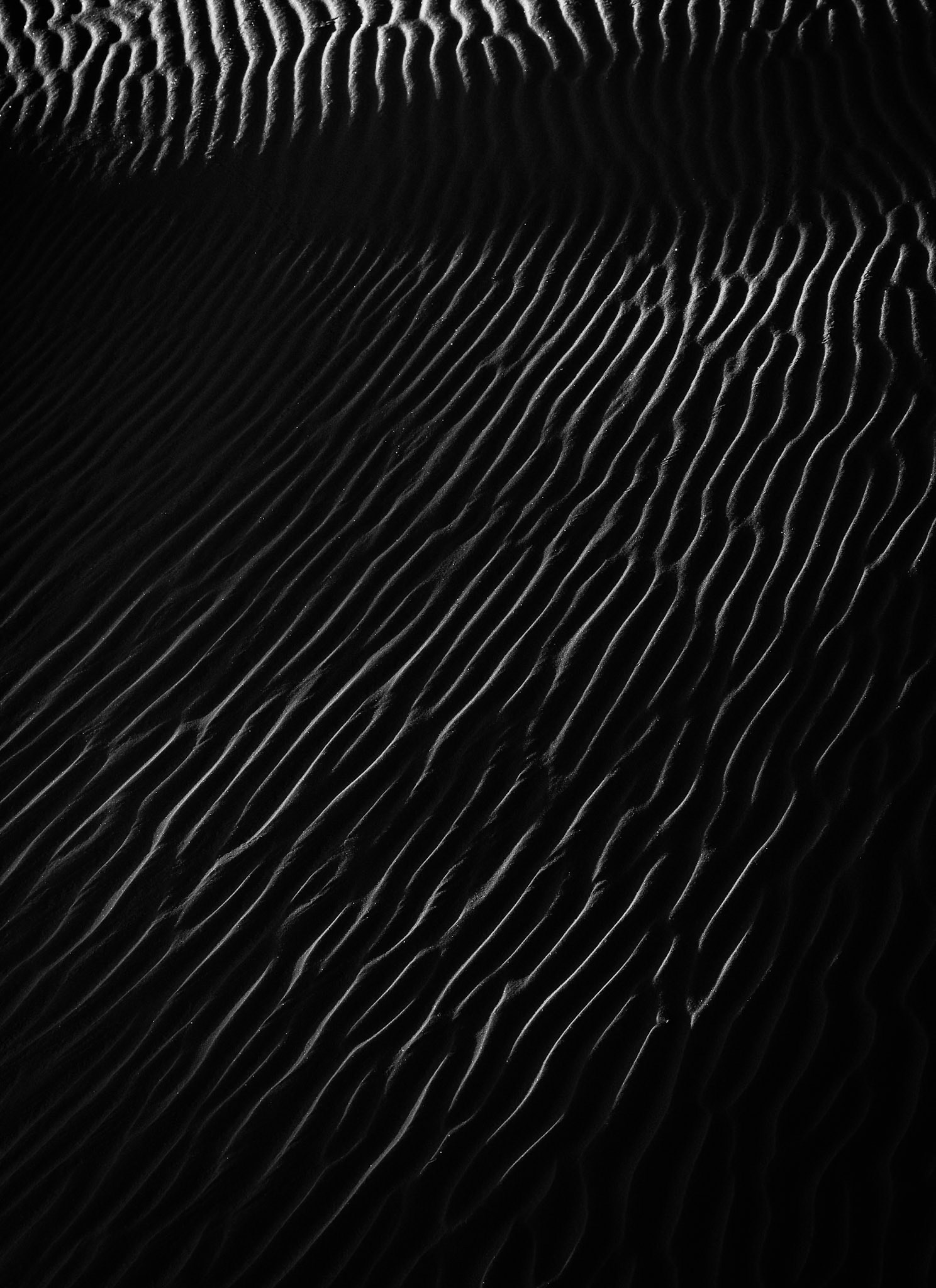 SHADOW LINES