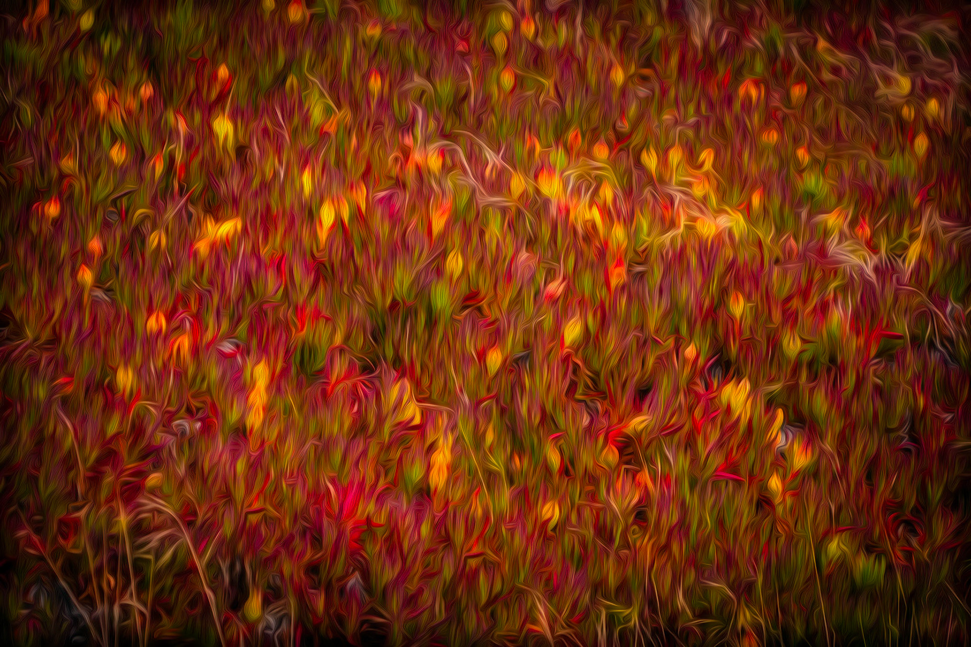 ICE PLANT ON FIRE