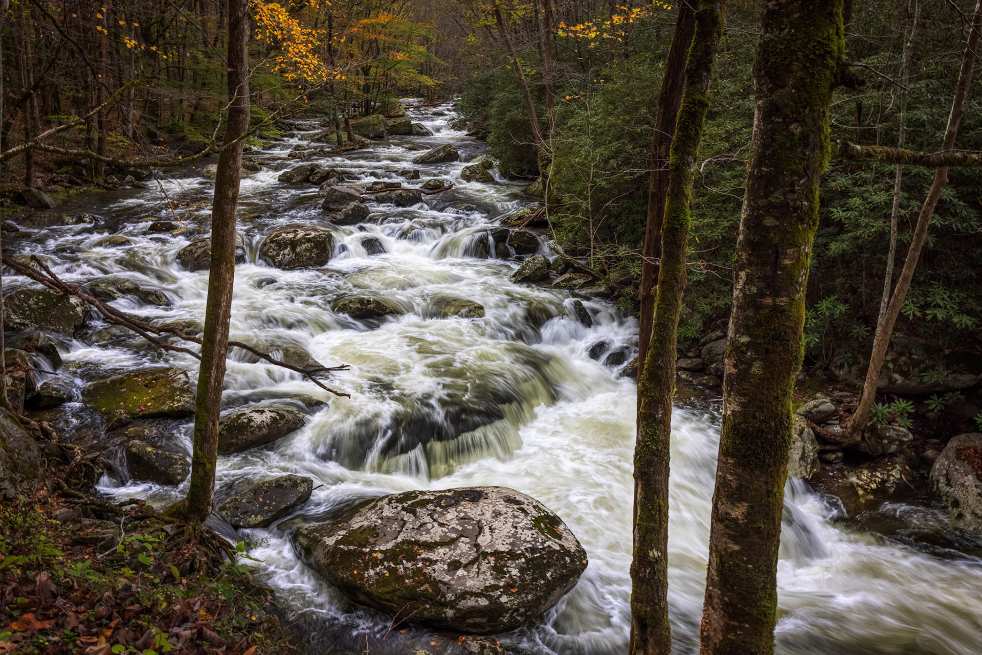FLOWING THROUGH THE QUIET