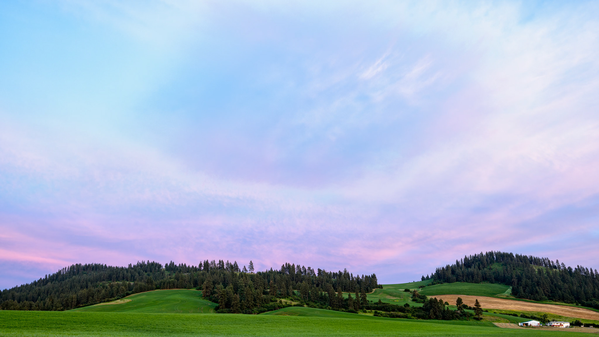 PASTEL SKY OVER THE PALOUSE