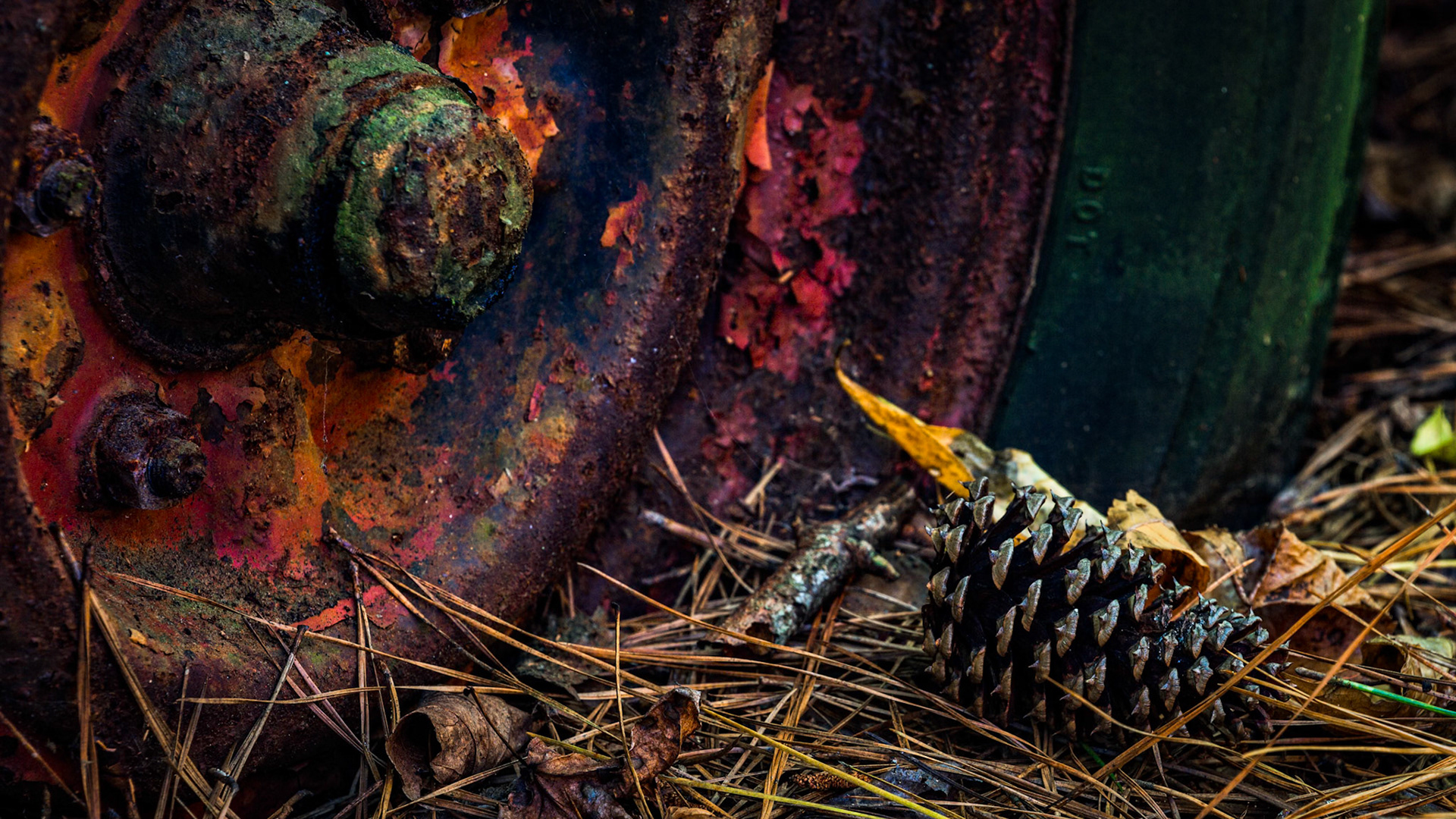 RUST AND PINE  |  A rusted wheel slowly surrenders to the forest floor as pine needles, leaves, and a single pinecone gather where pavement and motion once ruled. What was once built to travel now stands still, becoming part of the landscape it has occupied for decades.This small detail from Old Car City captures the quiet partnership between nature and time. The machine is fading, the forest is advancing, and together they create a scene far more compelling than either could alone.