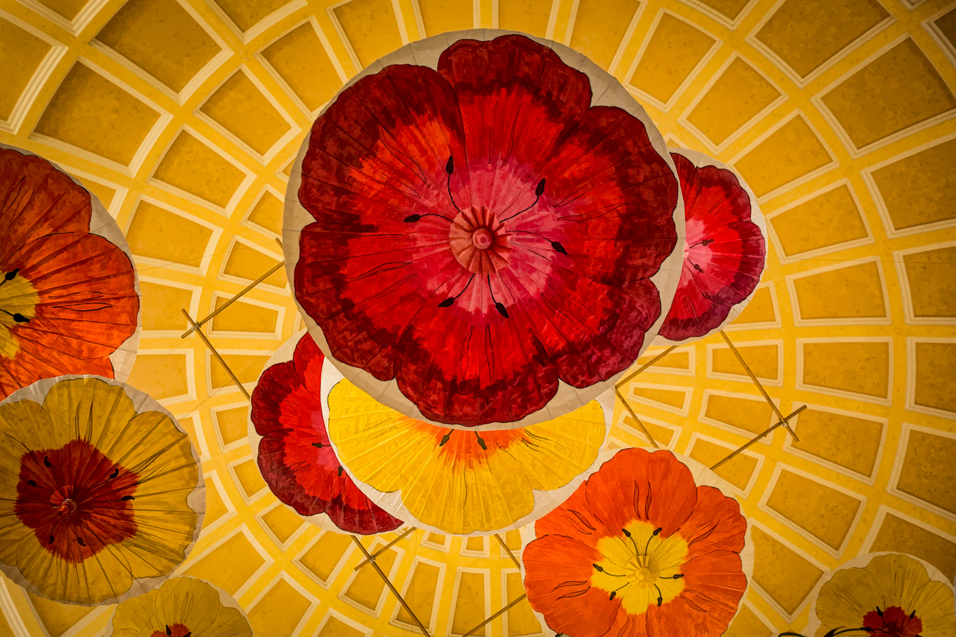 THE CEILING GARDEN  |  Suspended beneath the ceiling of the Bellagio, Dale Chihuly's vibrant glass installation transforms the space into a garden of color and light. Viewed from below, the overlapping forms resemble giant blossoms floating overhead, their translucent petals glowing against the geometric ceiling pattern.The composition emphasizes the contrast between the organic shapes of the hand blown glass and the structured architecture surrounding it. Rich reds, oranges, and yellows create a sense of warmth and movement, while the repeating ceiling design provides balance and rhythm.This image celebrates one of Las Vegas' most recognizable artistic landmarks, where fine art and public space come together to create an experience that surprises visitors long before they reach the casino floor.