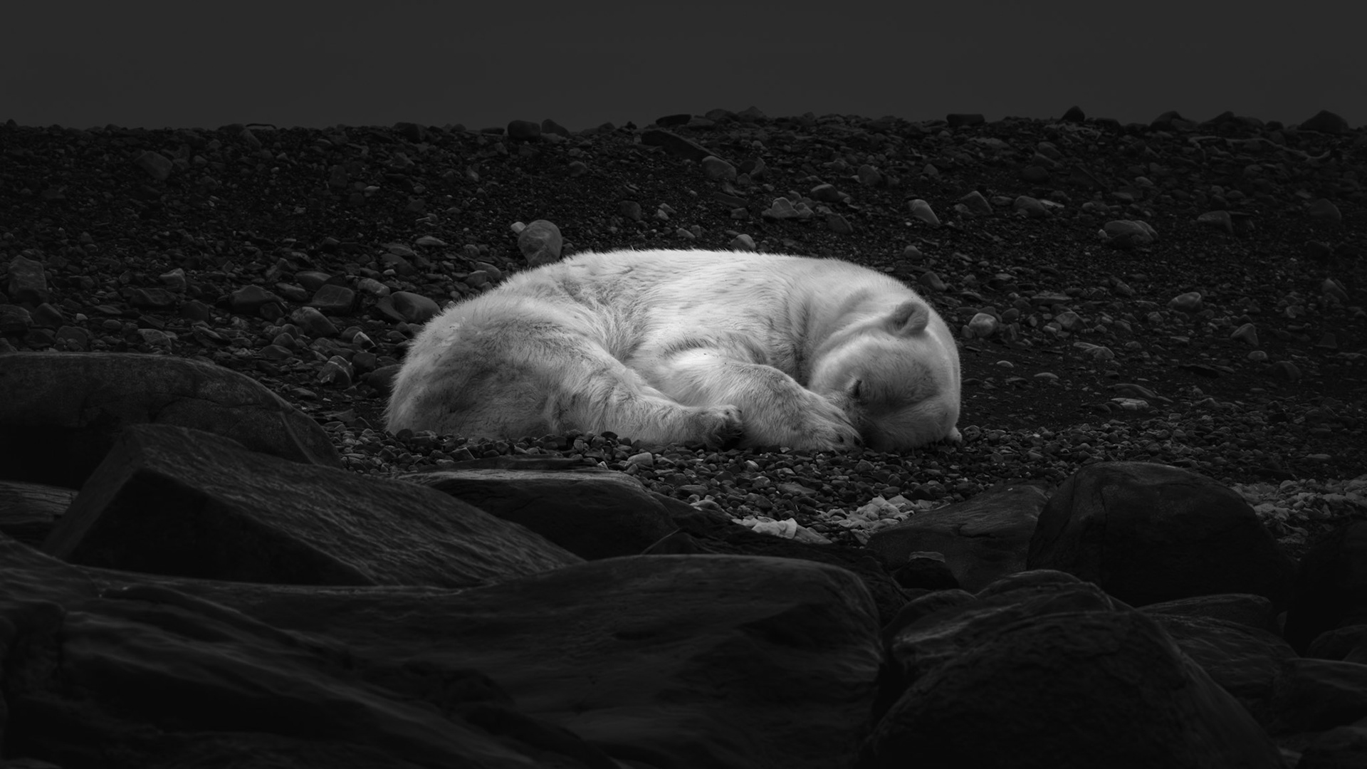 DREAMS OF ICE:  2025 Exposure One Award Nominee