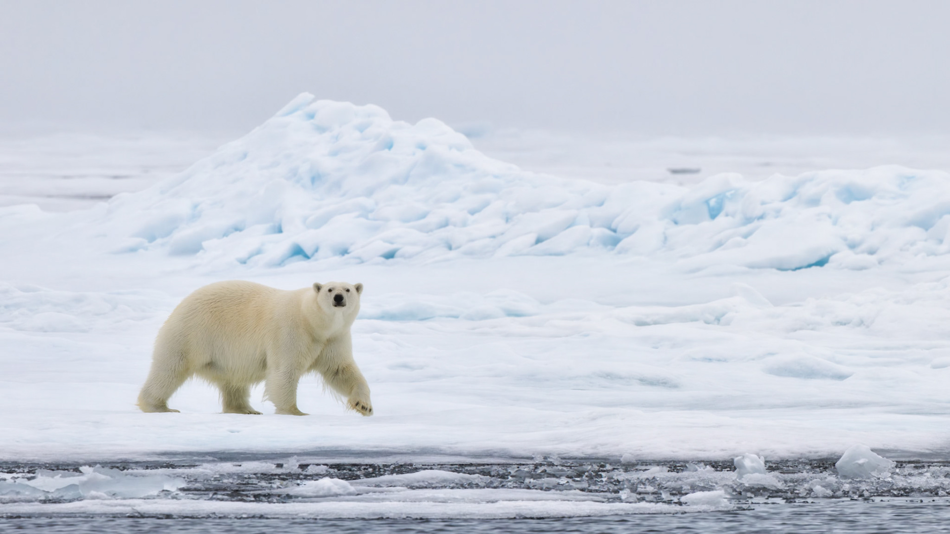 DRIFTING BETWEEN DIFFERENTWORLDS