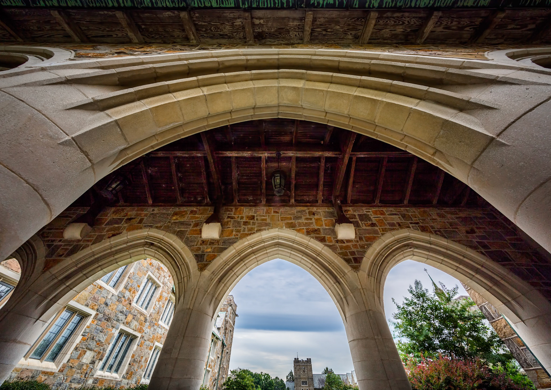 VAULTED SILENCE