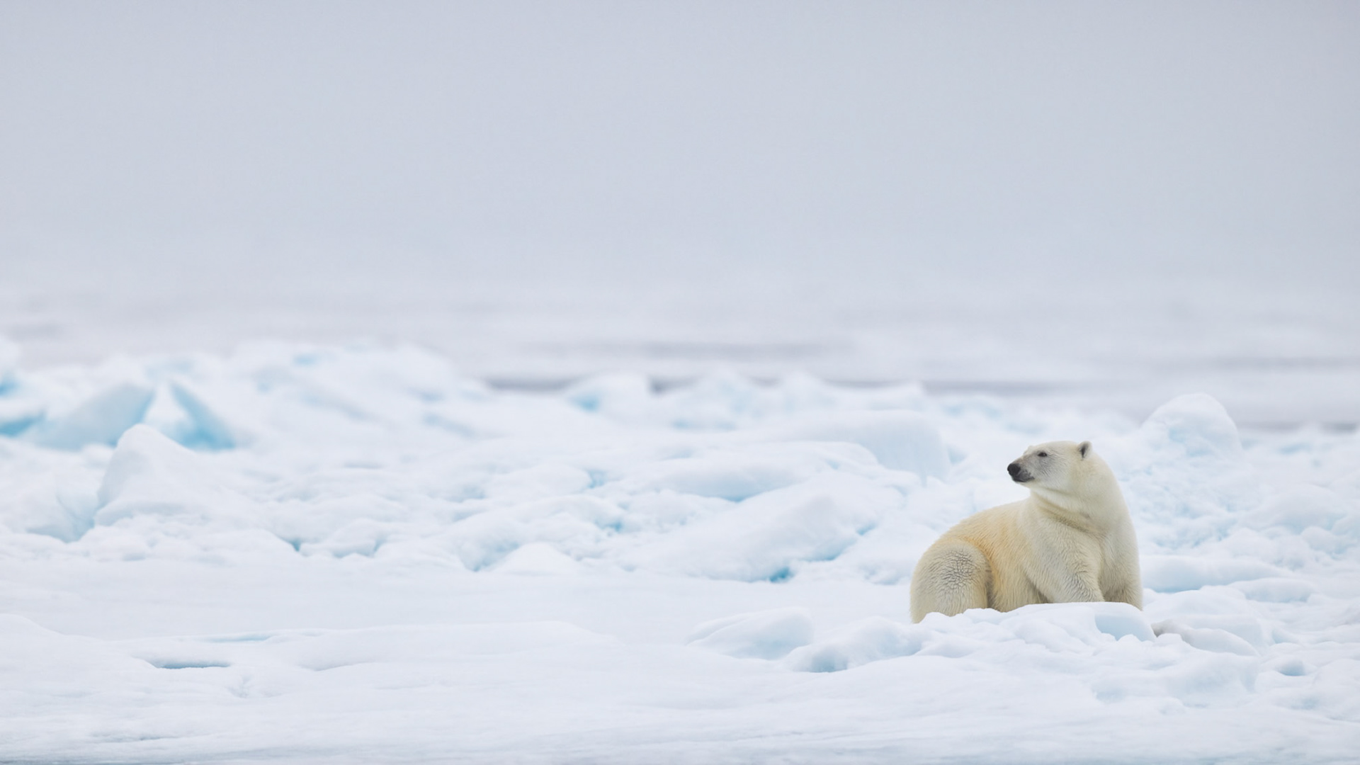 A PEACEFUL PLACE TO PAUSE