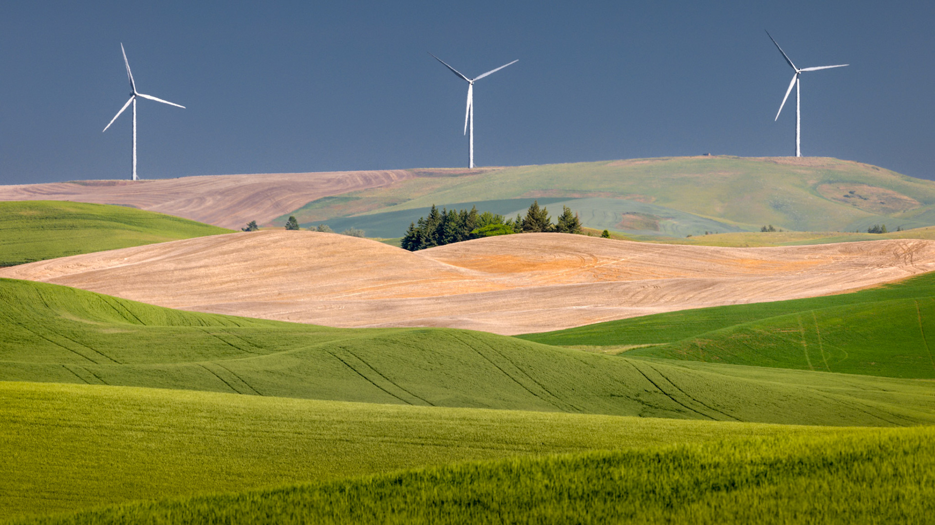 WIND OVER THE PALOUSE