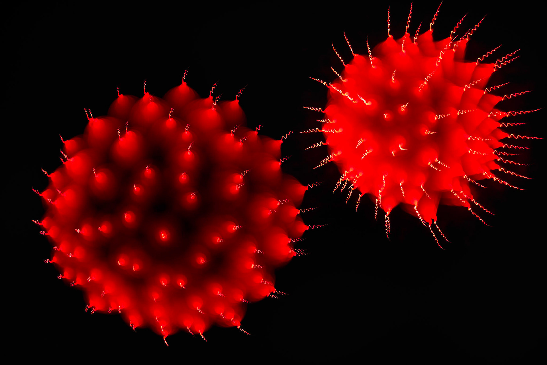 FIREWORKS 7
