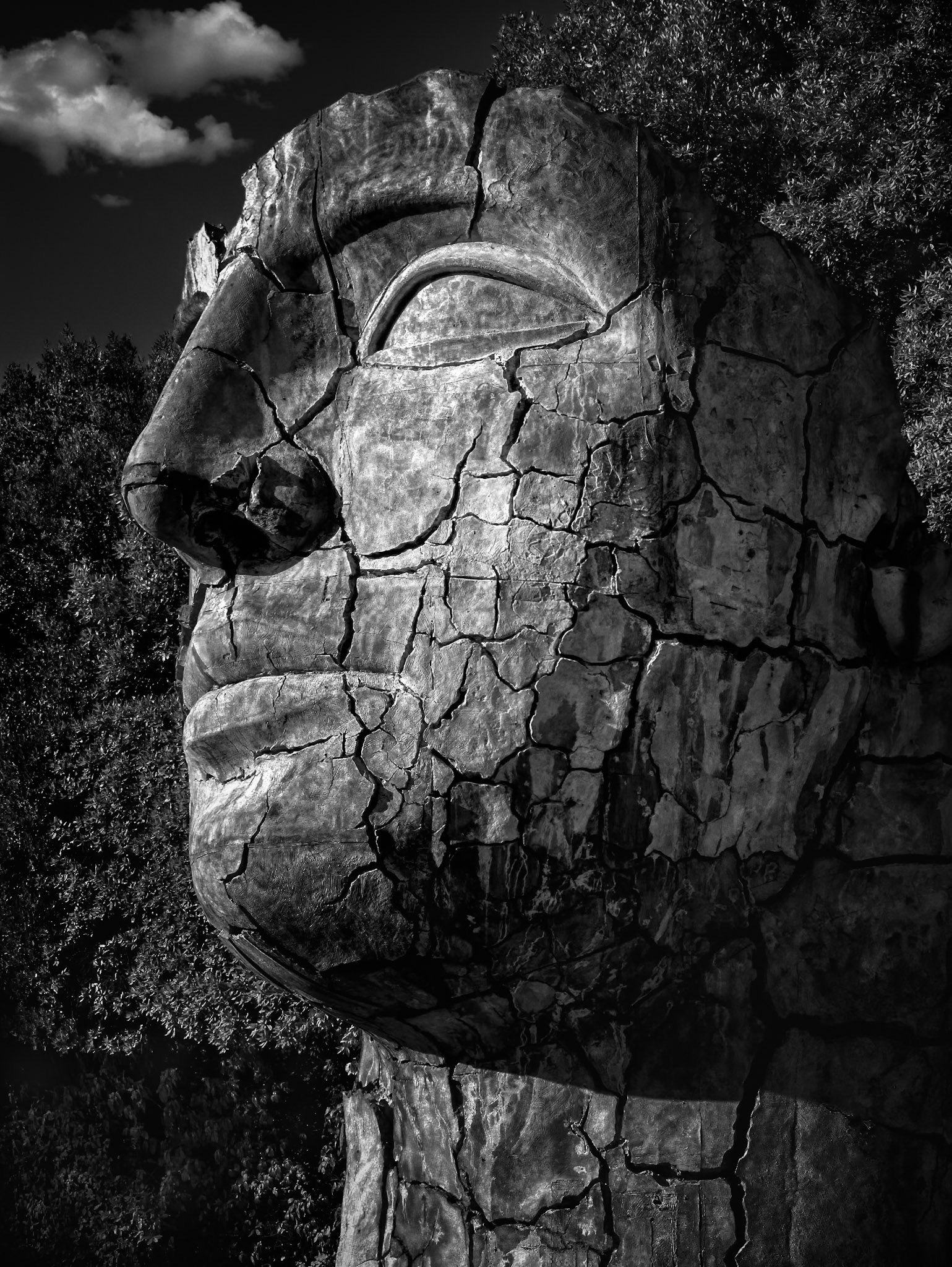 FACES OF BOBOLI  |  Weathered by centuries yet unbowed, this stone guardian gazes silently across the gardens, its fractured face bearing the marks of time like a map of forgotten stories. Each crack speaks of endurance, transforming decay into a powerful testament to resilience, memory, and the beauty that survives long after perfection fades.