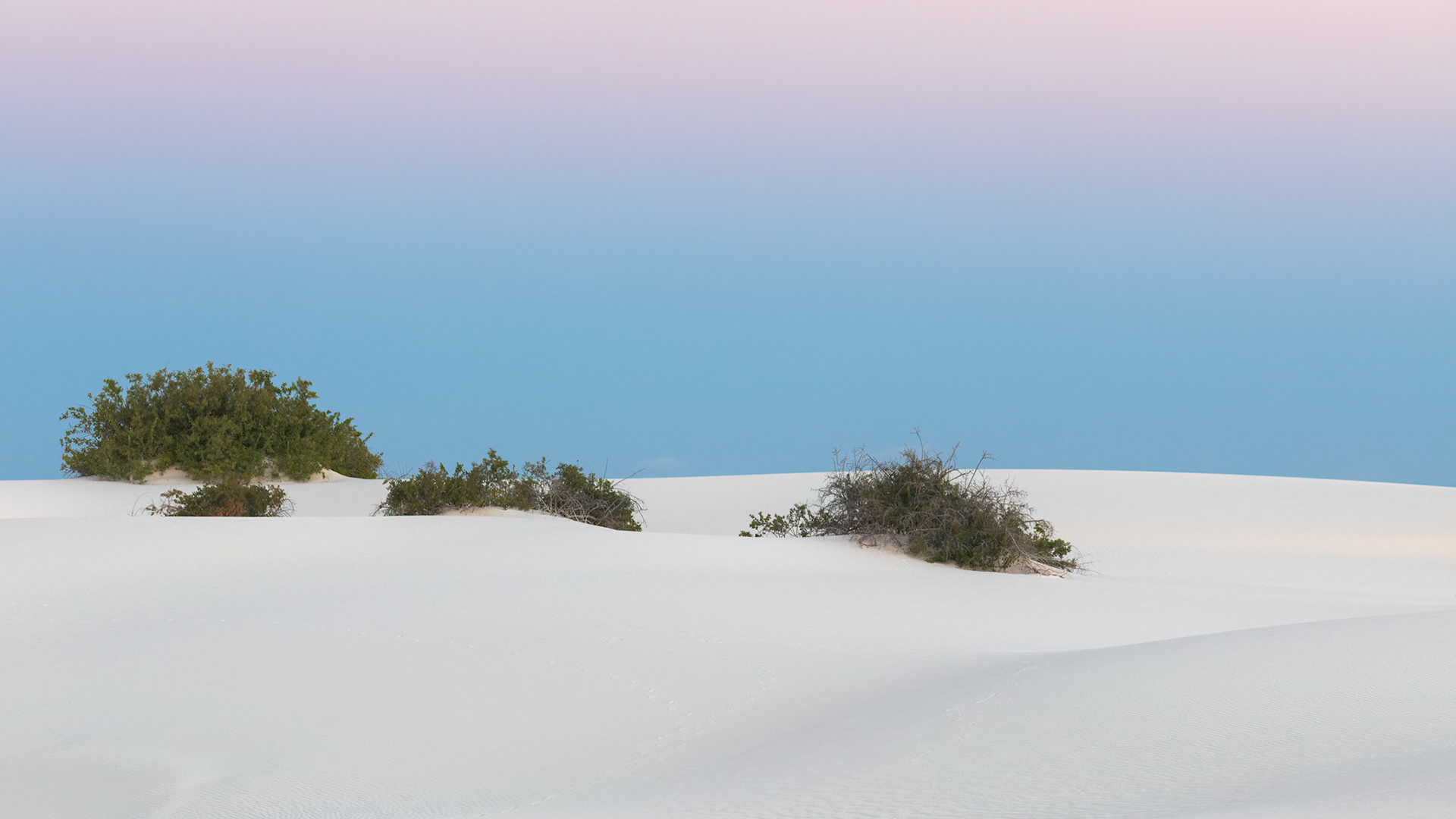QUIET DUNES
